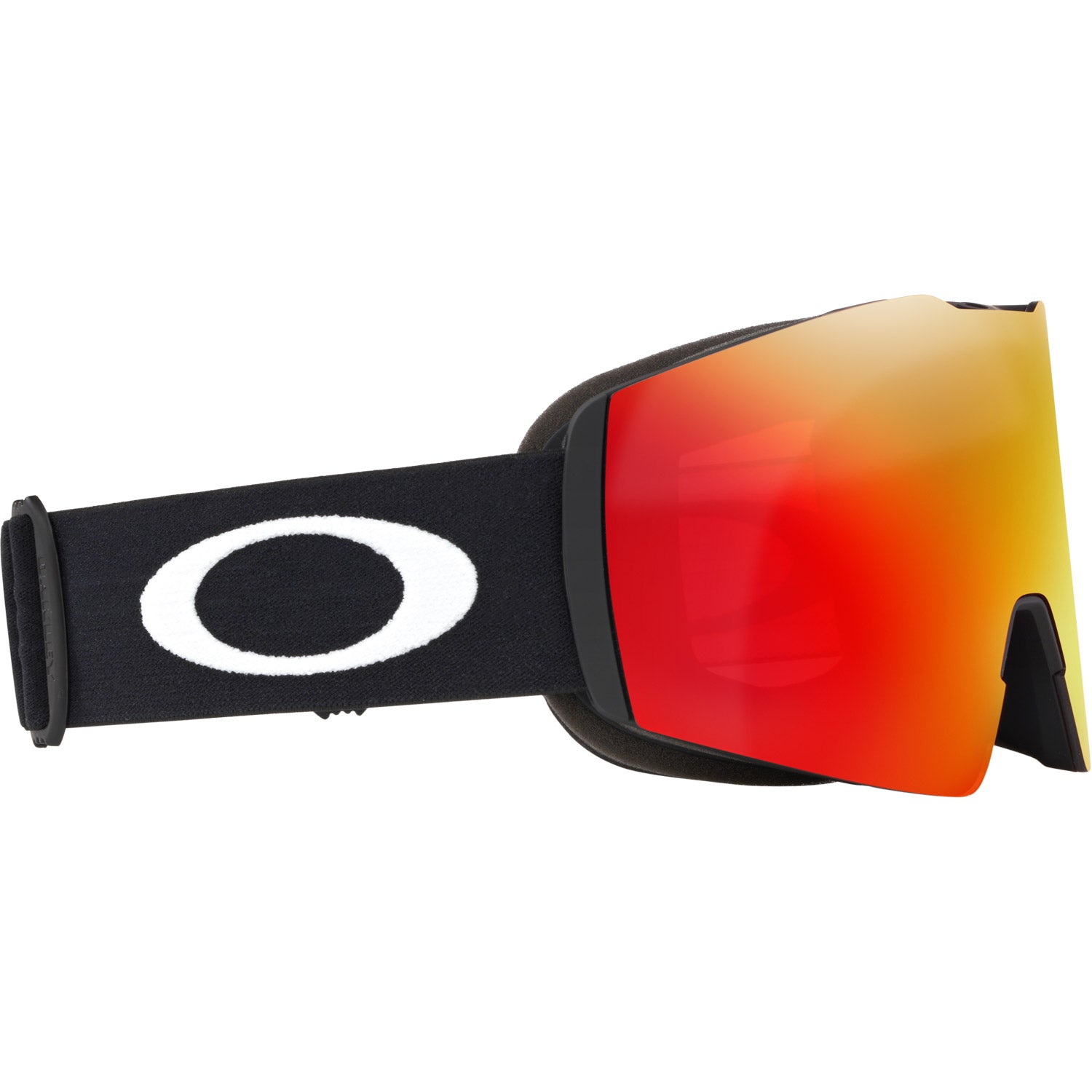 Fall Line L Snow Goggle