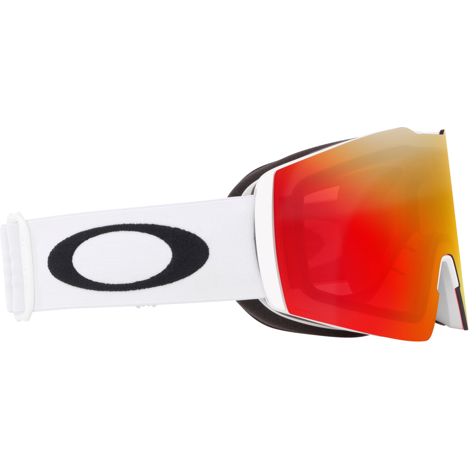 Fall Line L Snow Goggle