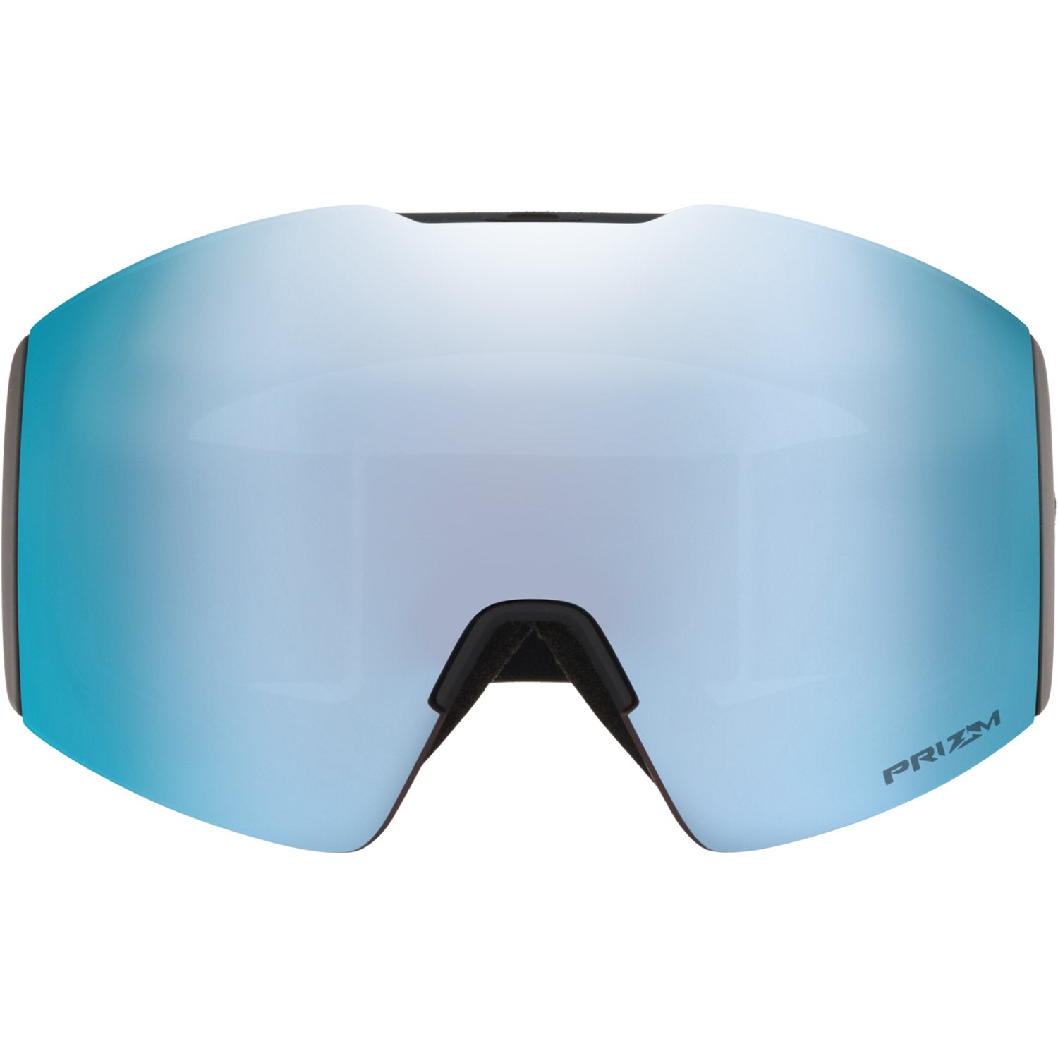 Fall Line L Snow Goggle