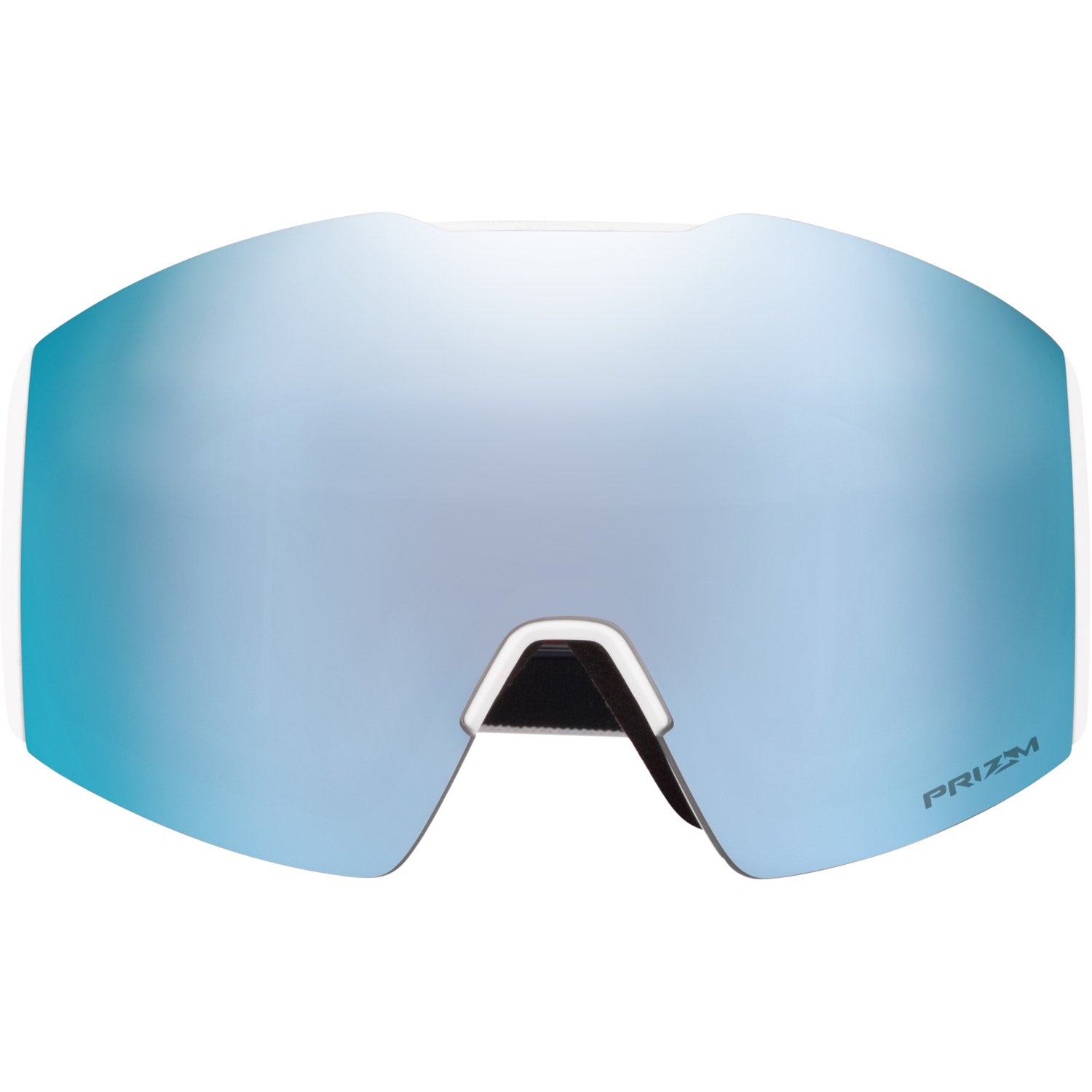 Fall Line L Snow Goggle