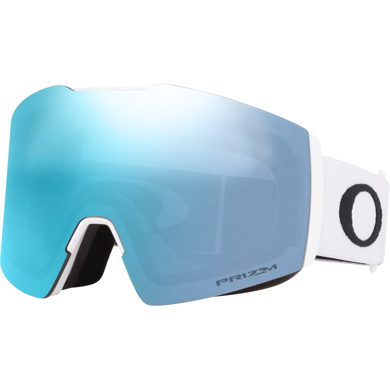 Fall Line L Snow Goggle