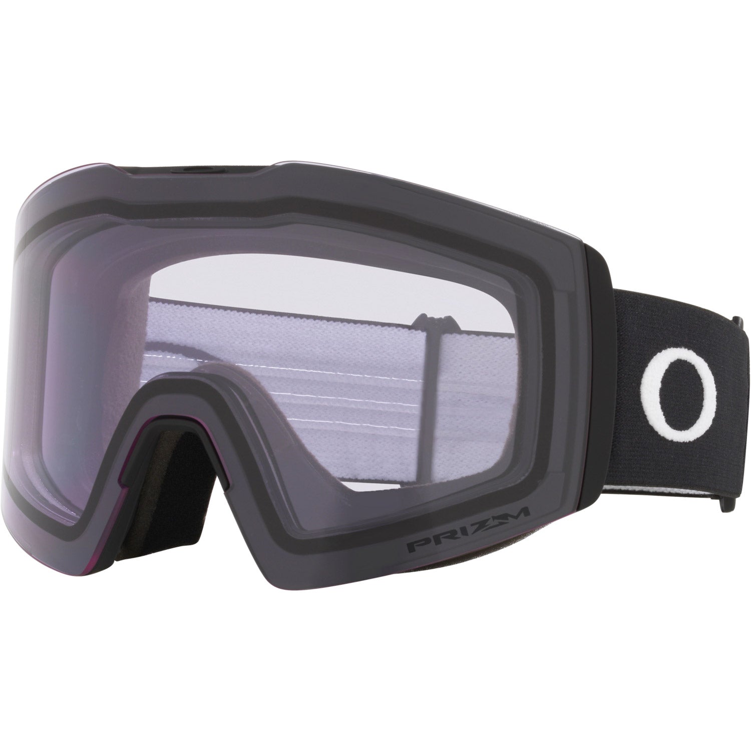 Fall Line L Snow Goggle