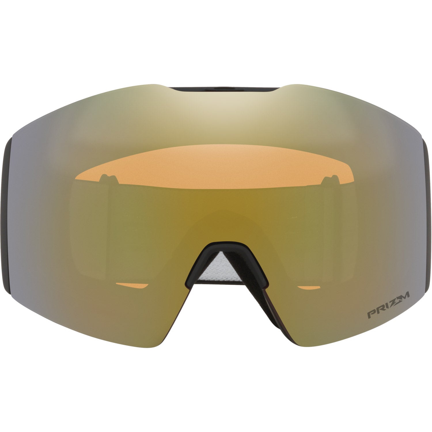 Fall Line L Snow Goggle