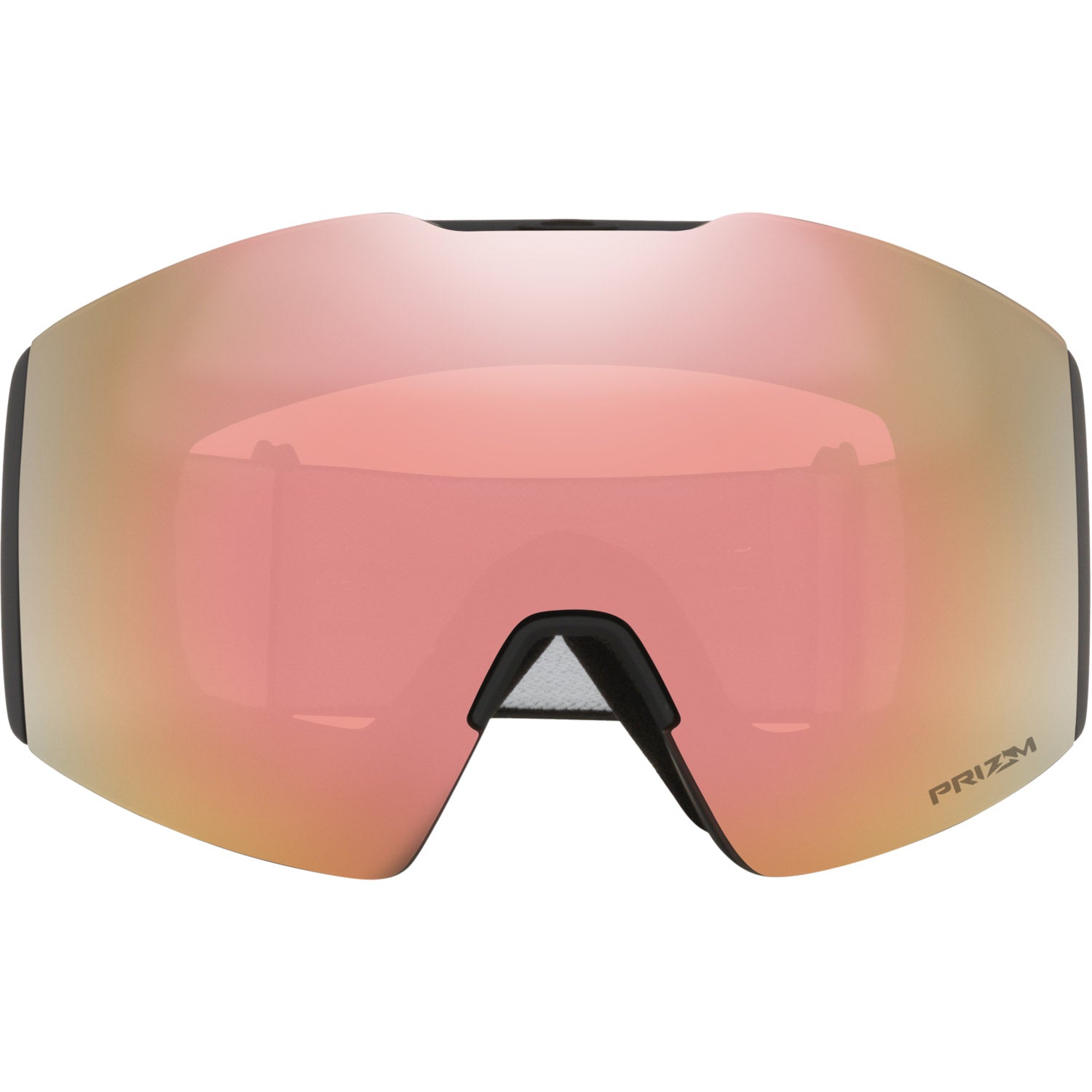 Fall Line L Snow Goggle