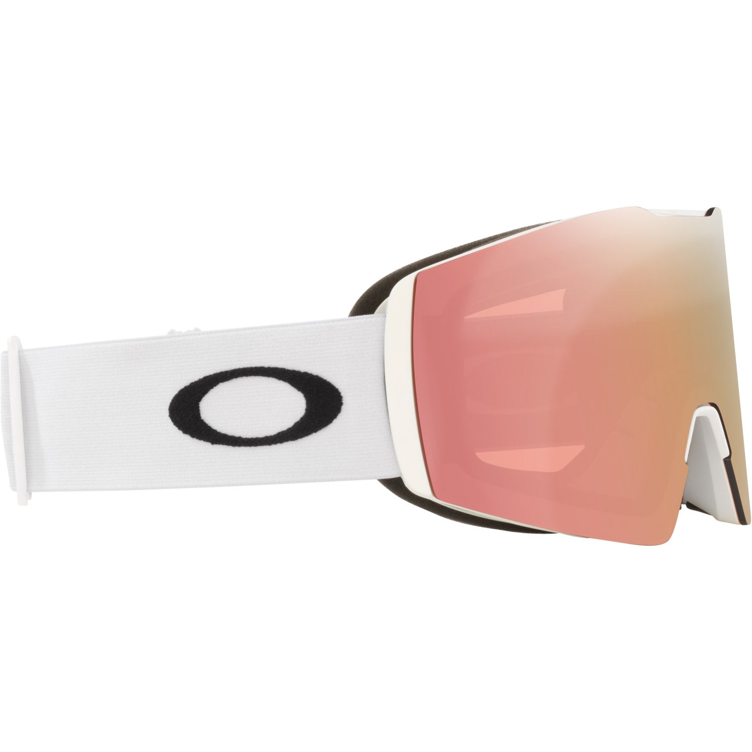 Fall Line L Snow Goggle
