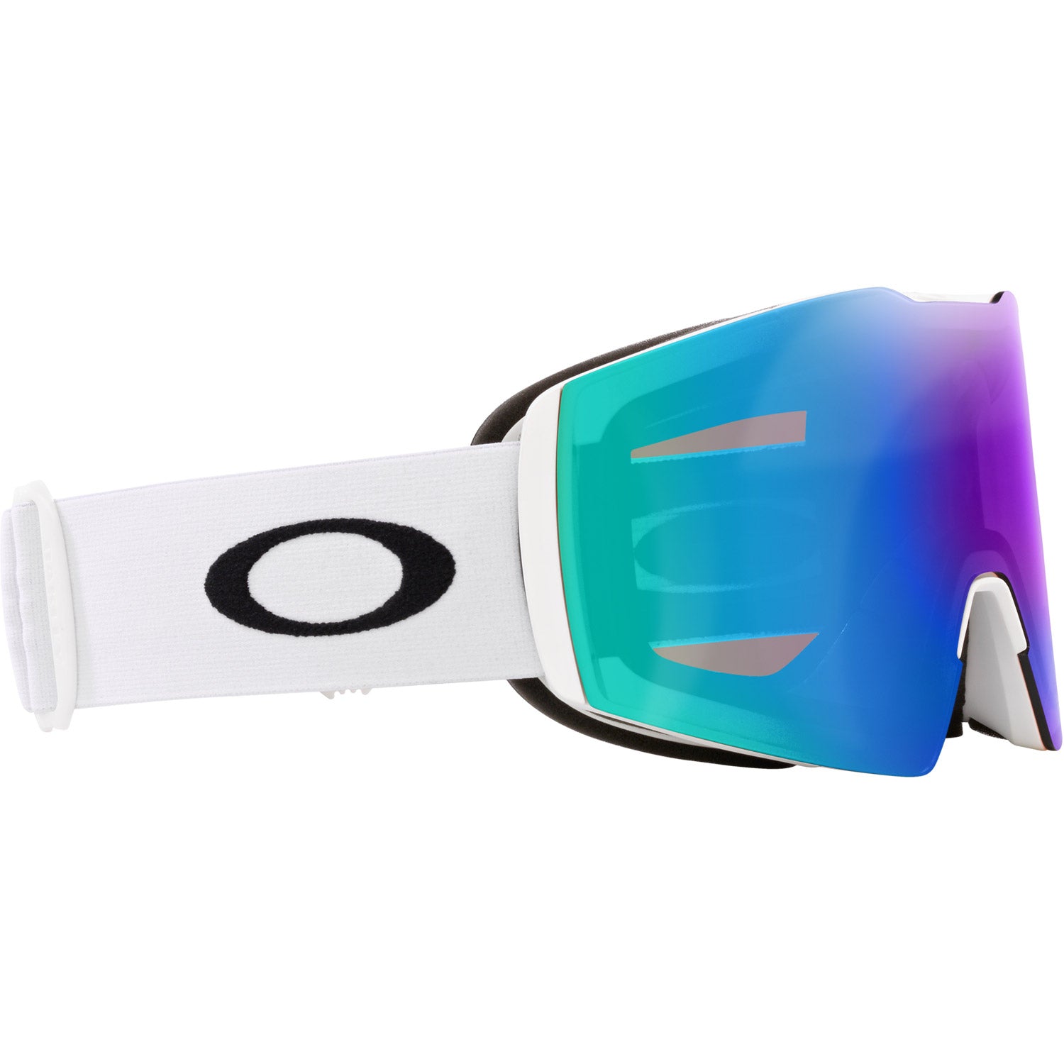Fall Line L Snow Goggle
