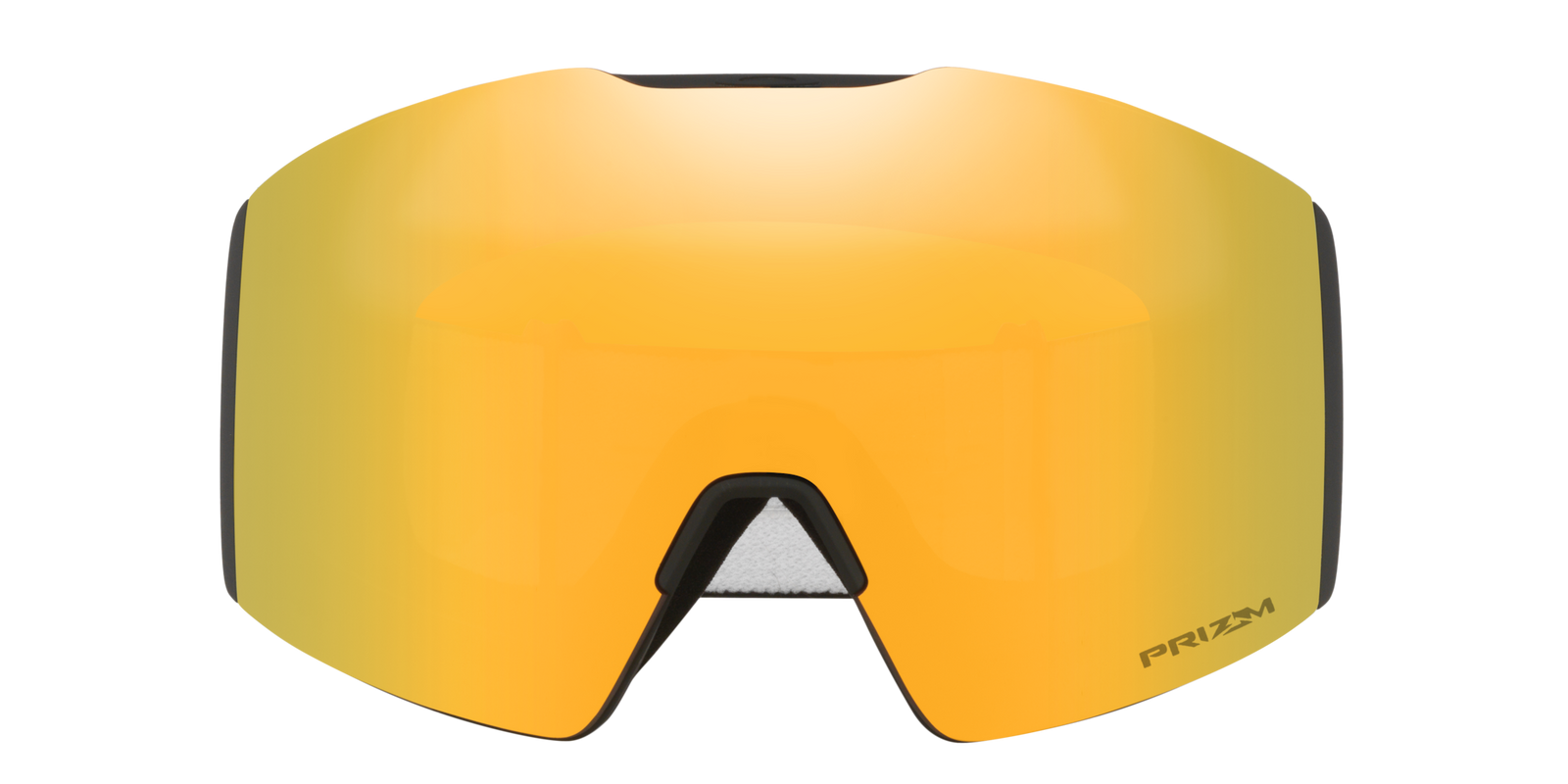 Fall Line L Snow Goggle