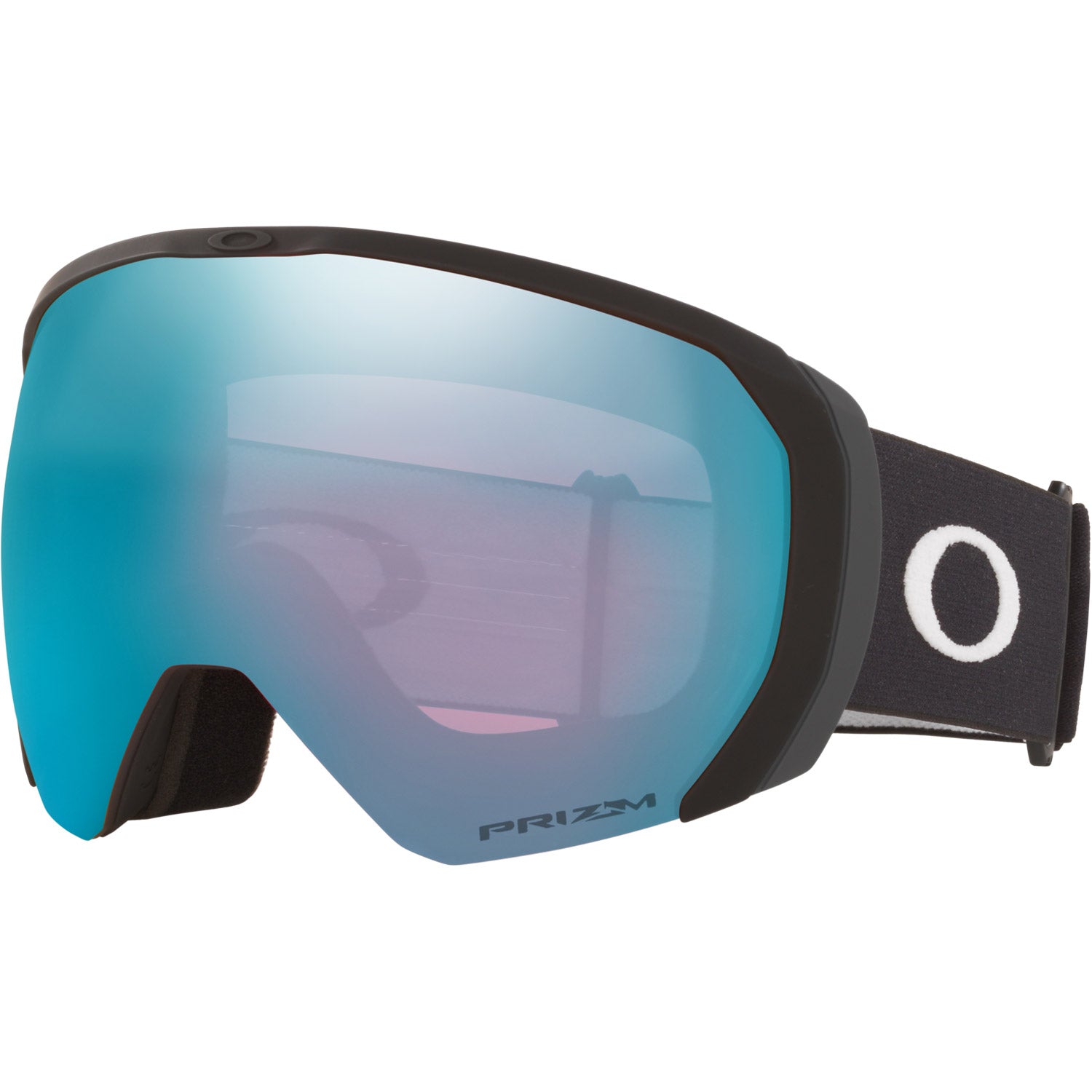 Flight Path L Snow Goggle