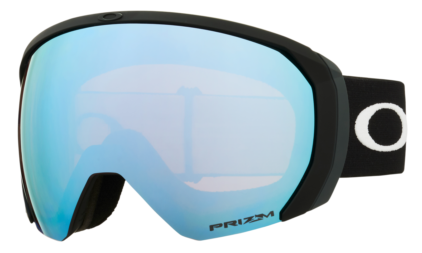 Flight Path L Snow Goggle