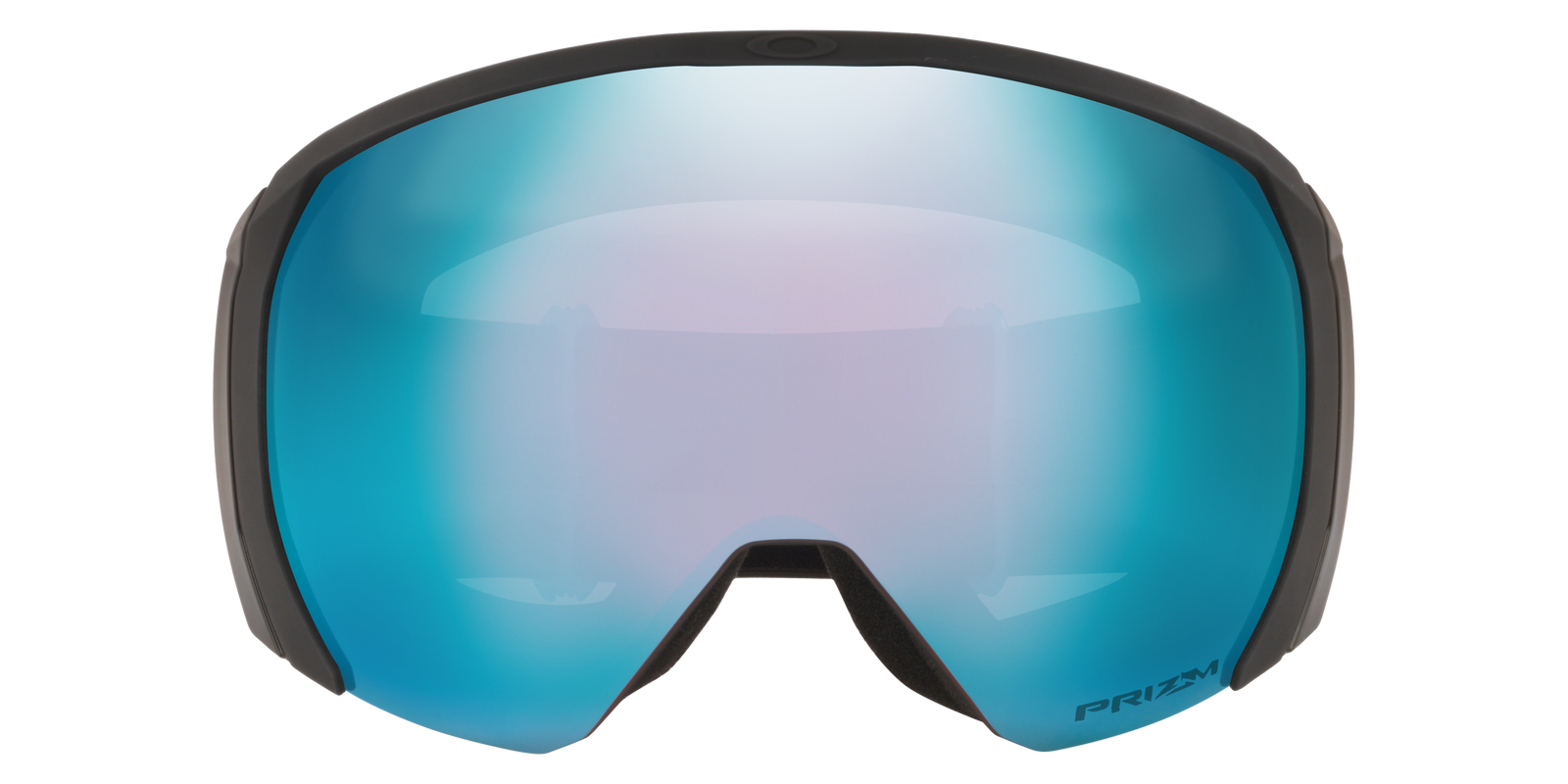 Flight Path L Snow Goggle