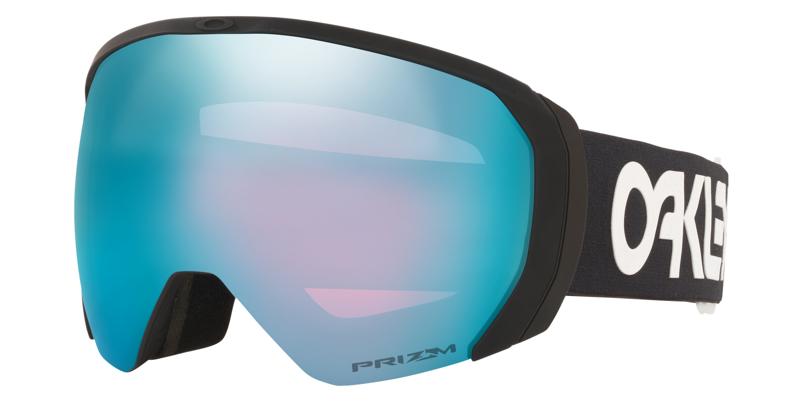 Flight Path L Snow Goggle