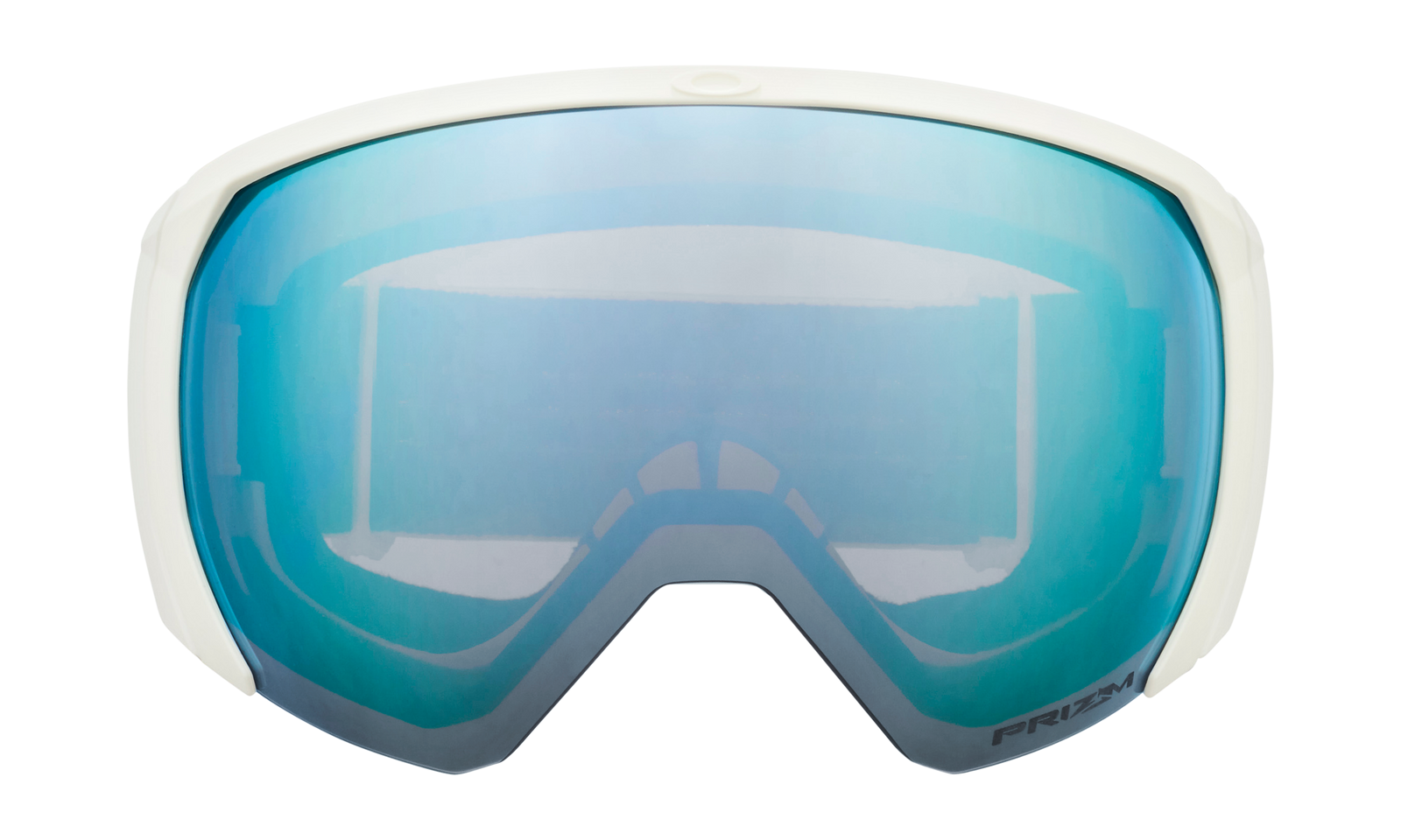 Flight Path L Snow Goggle