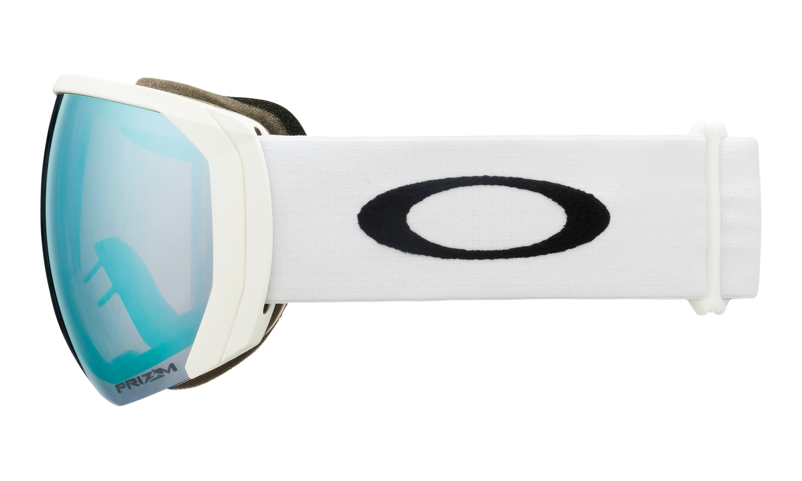 Flight Path L Snow Goggle