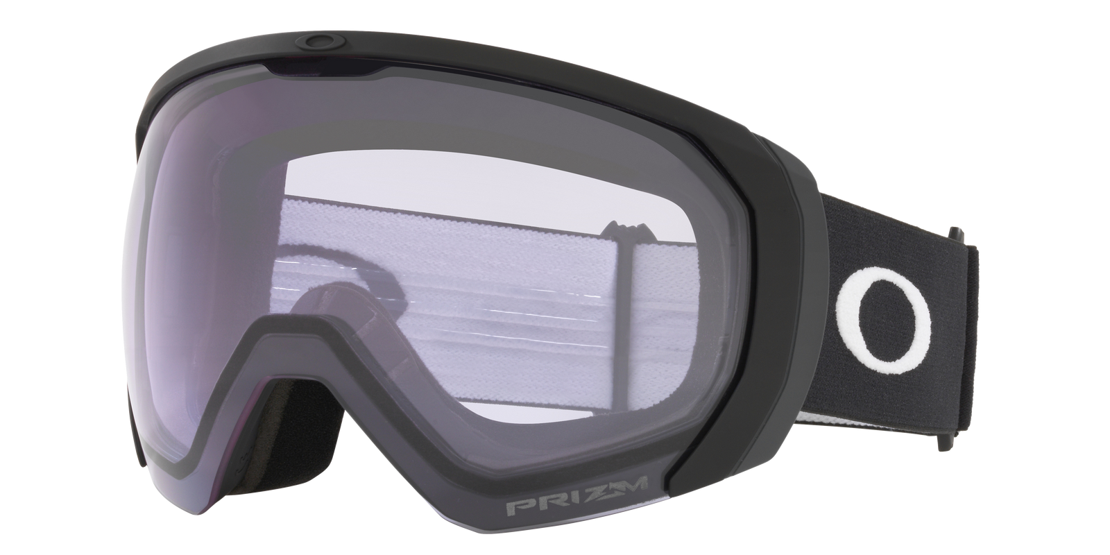 Flight Path L Snow Goggle