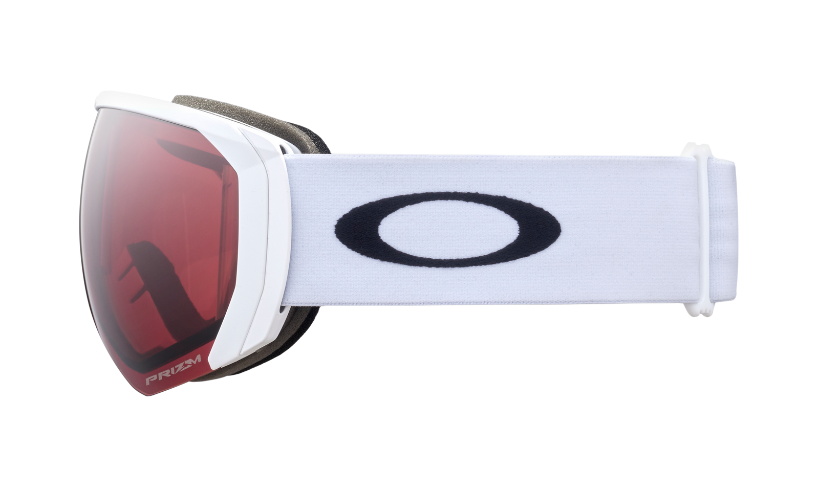 Flight Path L Snow Goggle