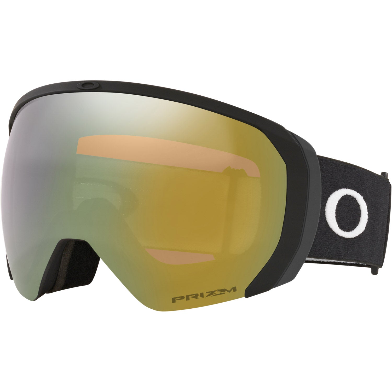 Flight Path L Snow Goggle