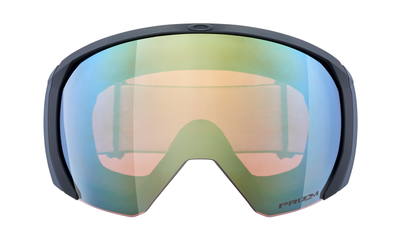 Flight Path L Snow Goggle