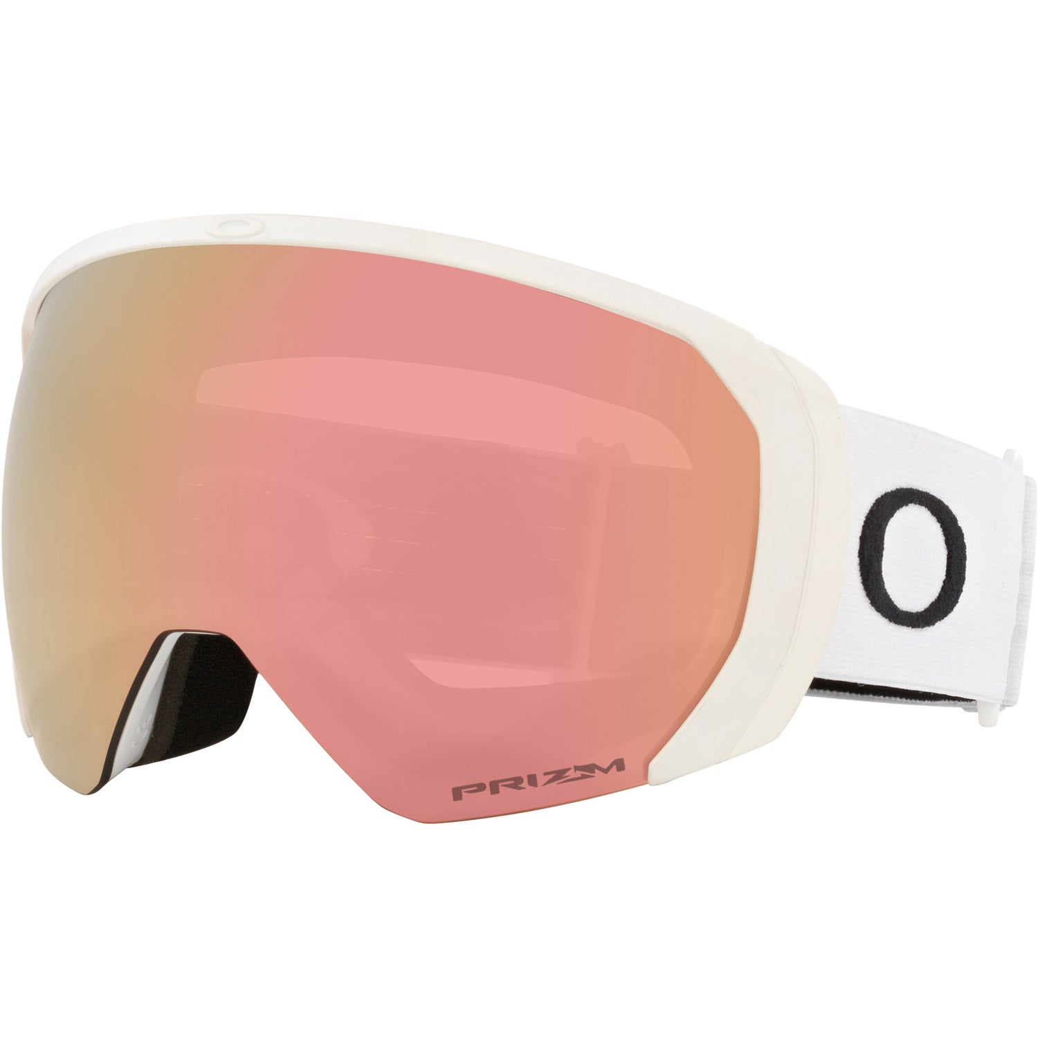 Flight Path L Snow Goggle