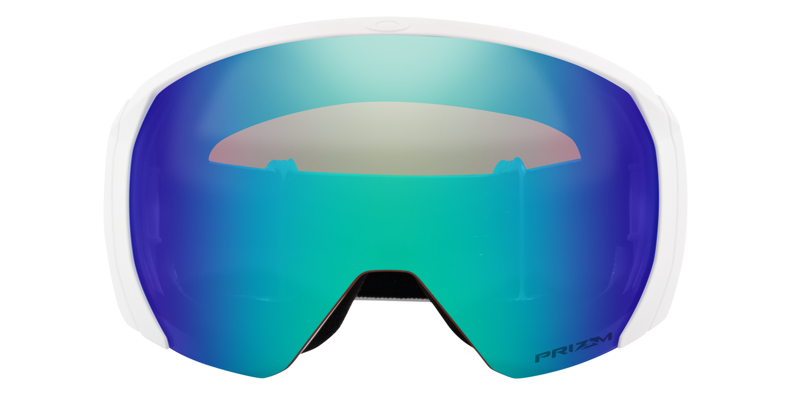 Flight Path L Snow Goggle