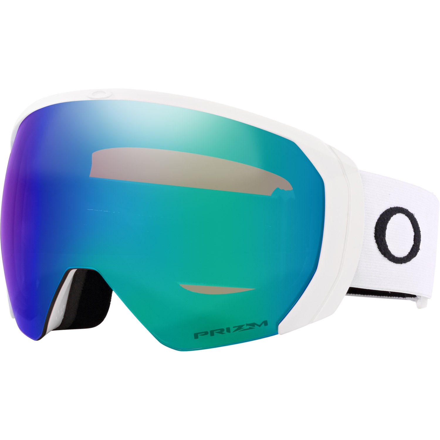 Flight Path L Snow Goggle