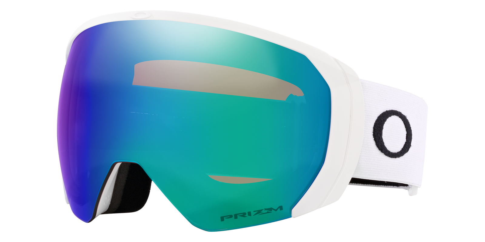 Flight Path L Snow Goggle