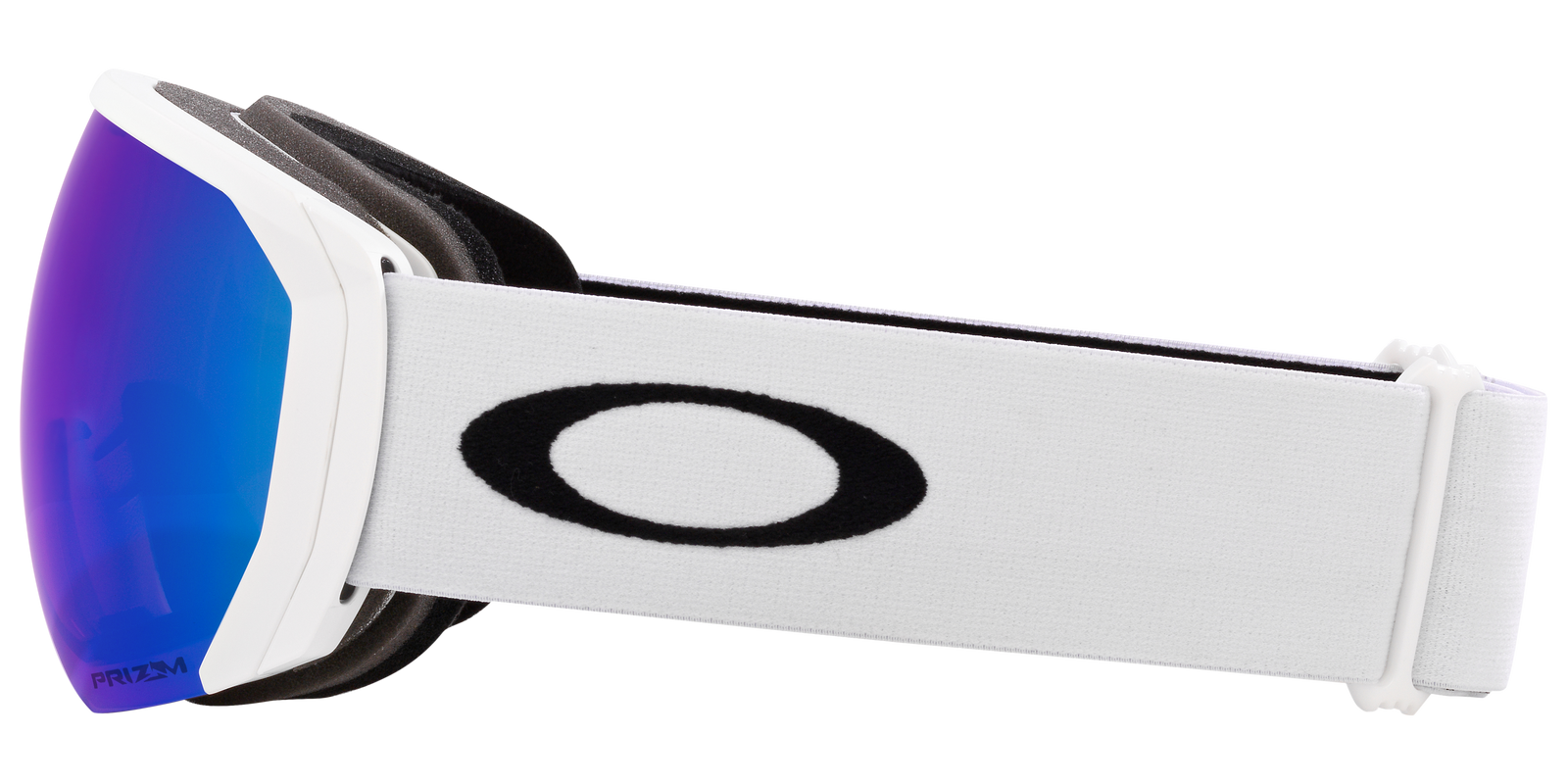 Flight Path L Snow Goggle