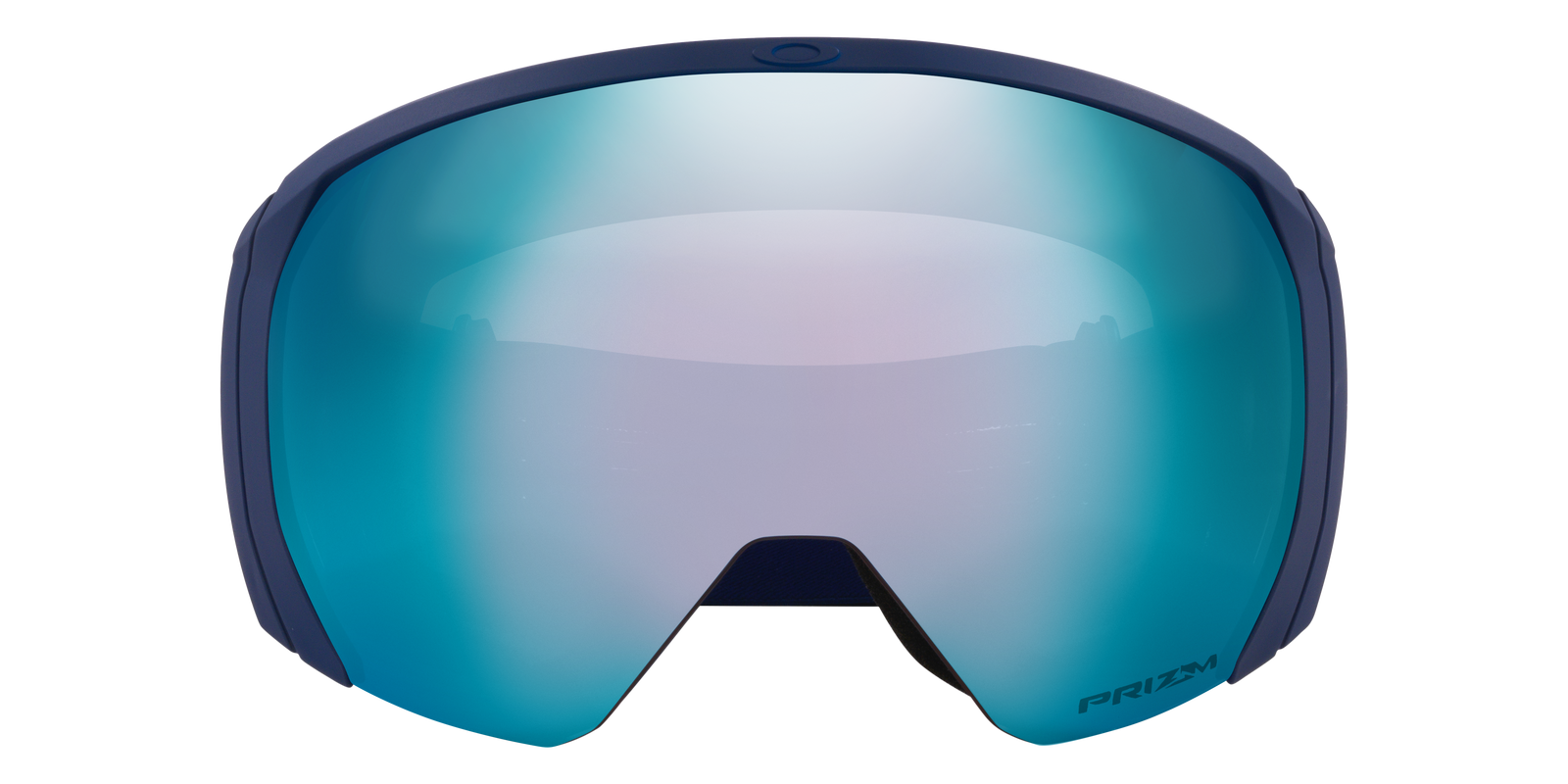 Flight Path L Snow Goggle