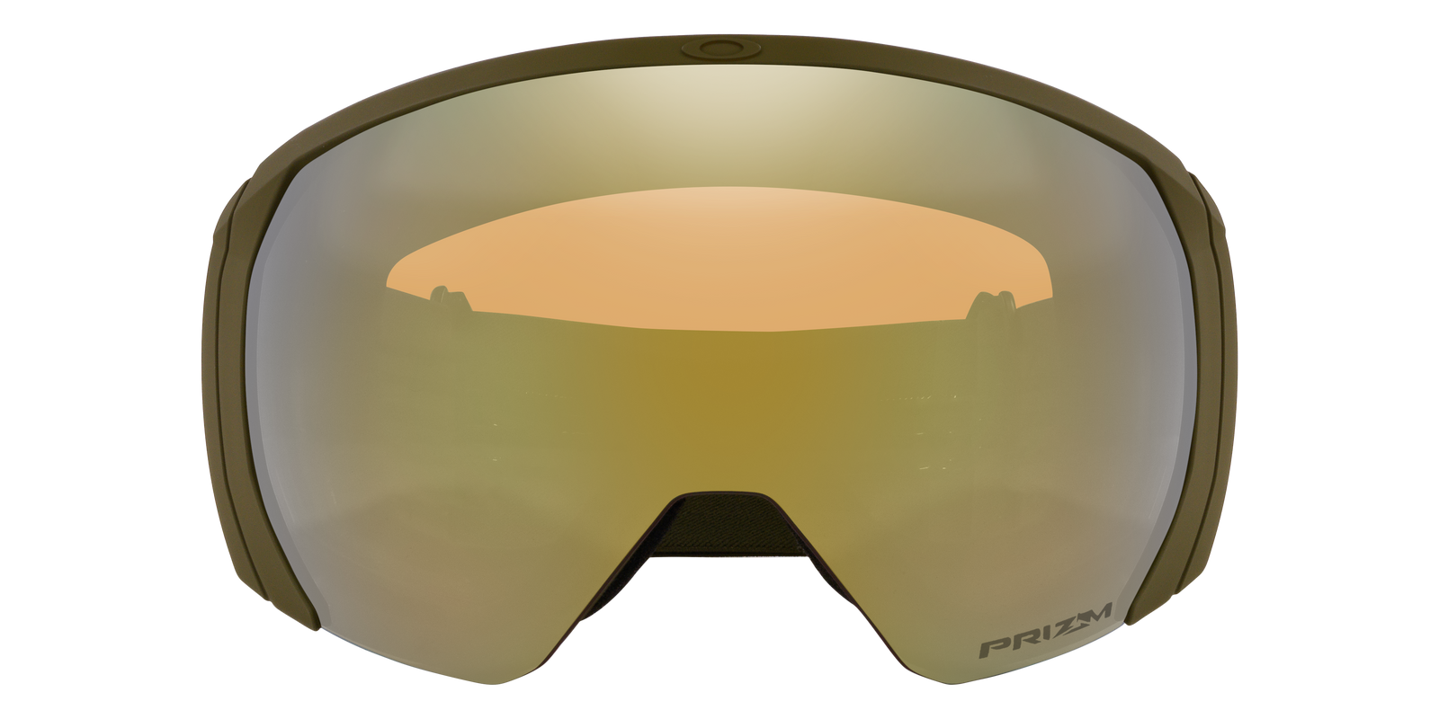 Flight Path L Snow Goggle