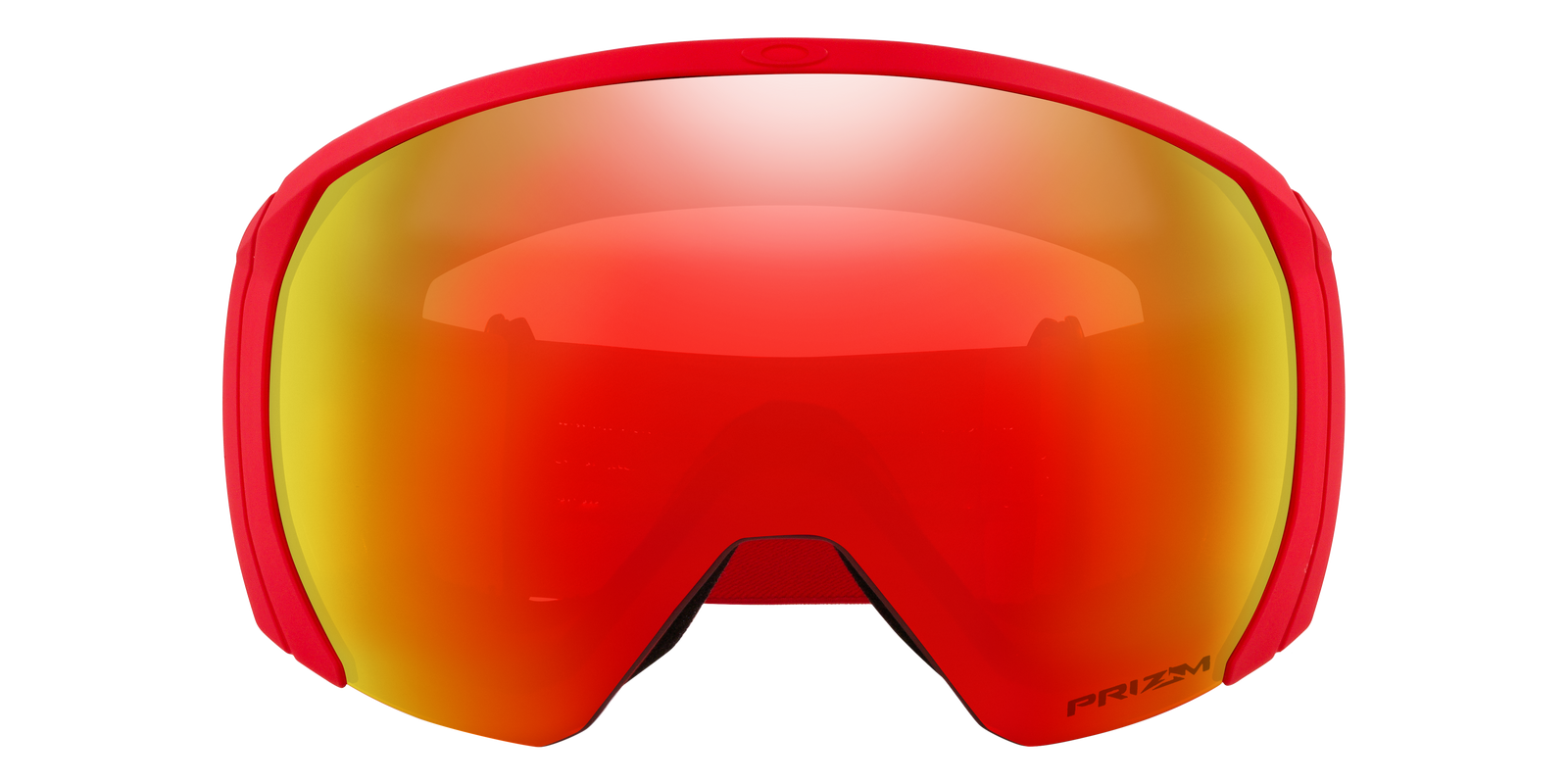 Flight Path L Snow Goggle
