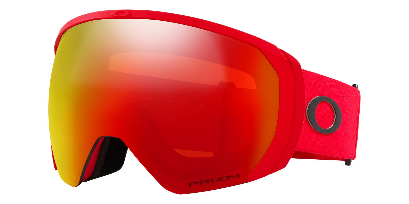 Flight Path L Snow Goggle