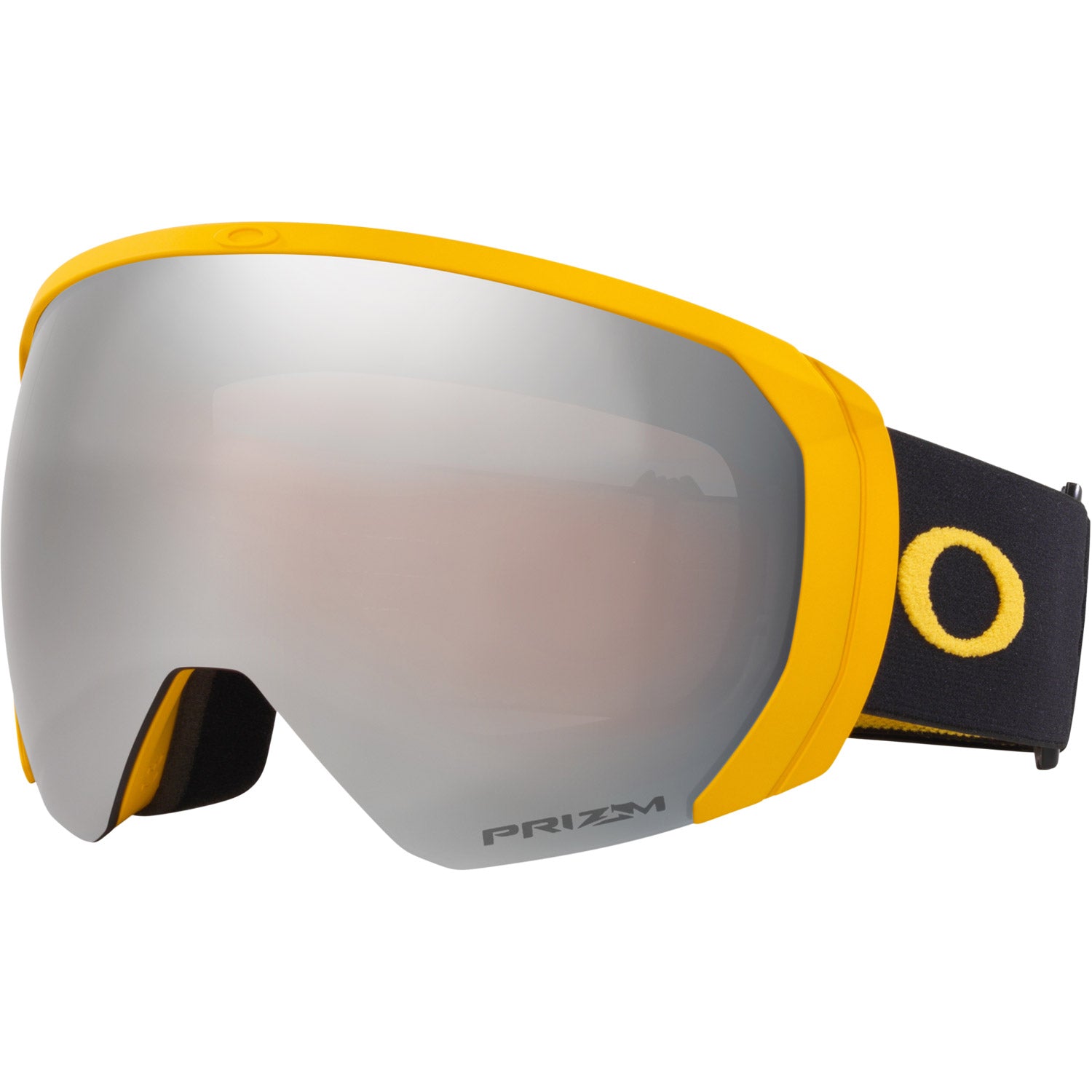 Flight Path L Snow Goggle