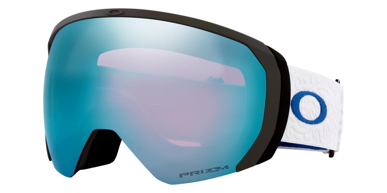Flight Path L Snow Goggle