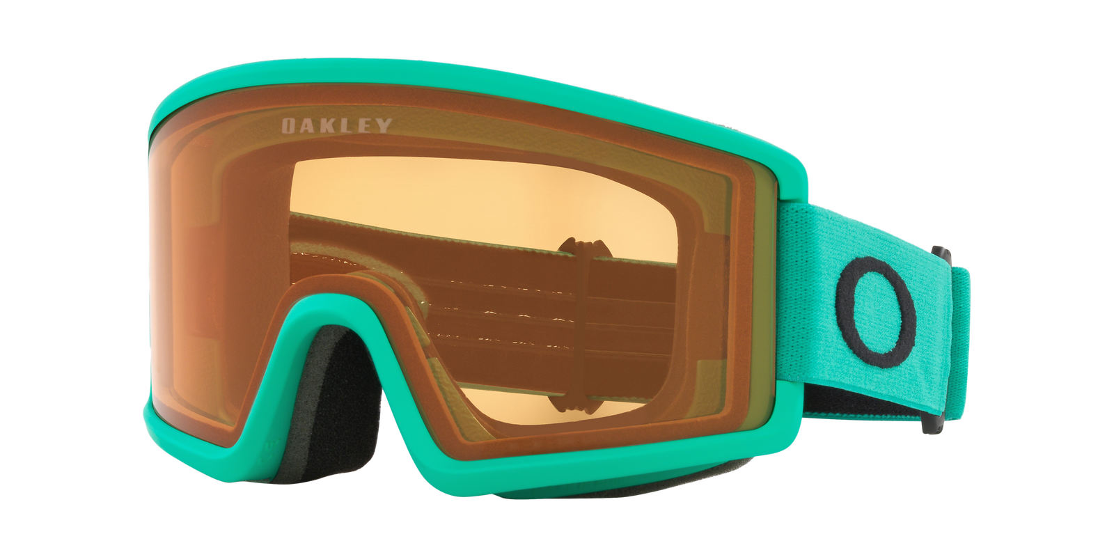 Target Line M Snow Goggle