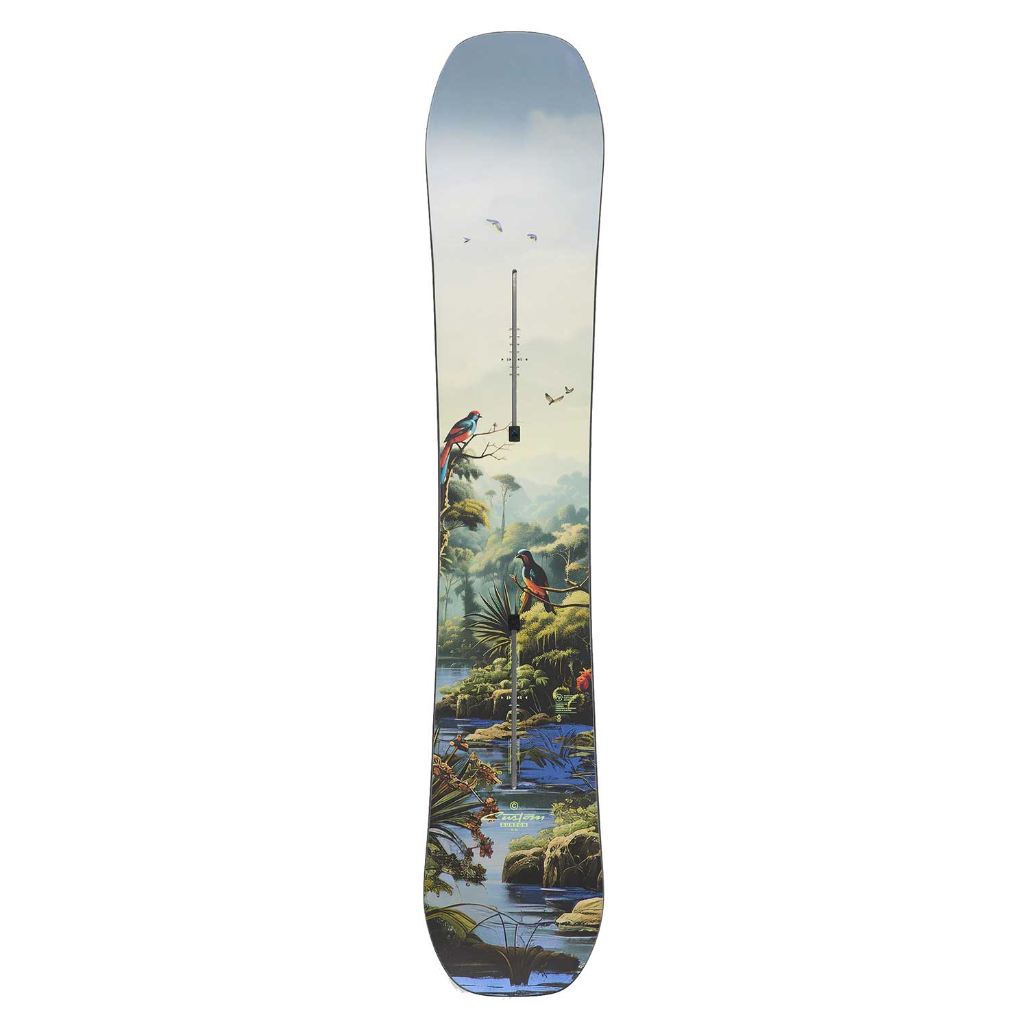 Custom Jungle Camber Snowboard