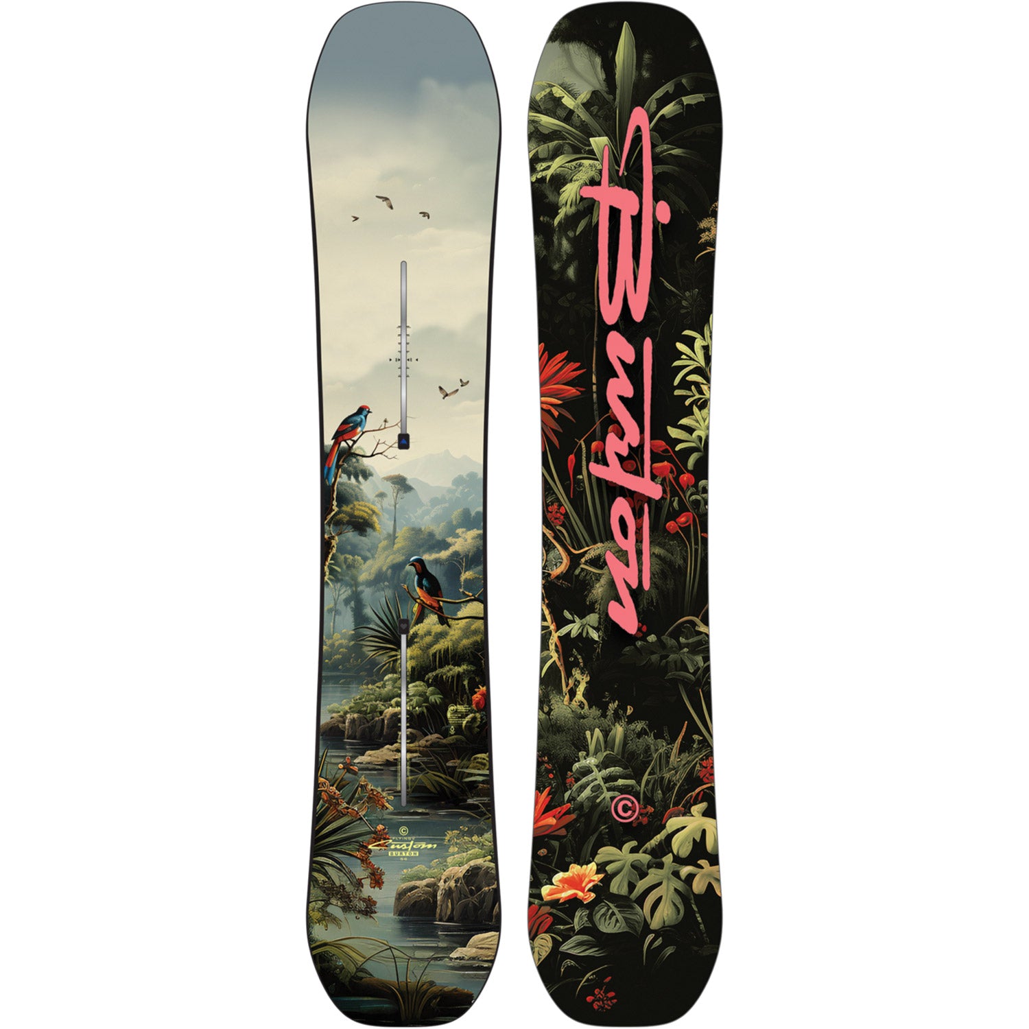 Custom Jungle Flying V Snowboard