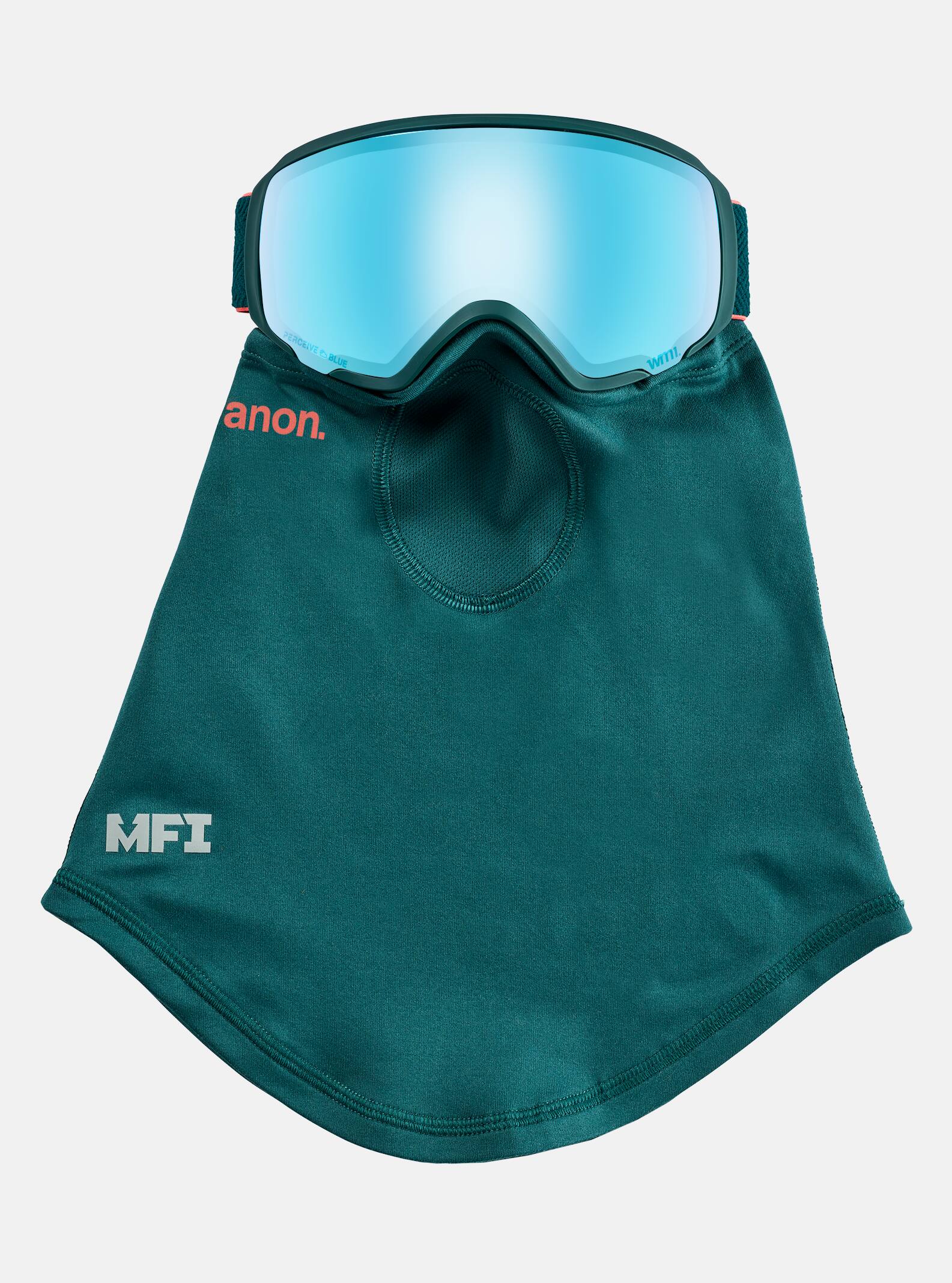 WM1 Snow Goggle