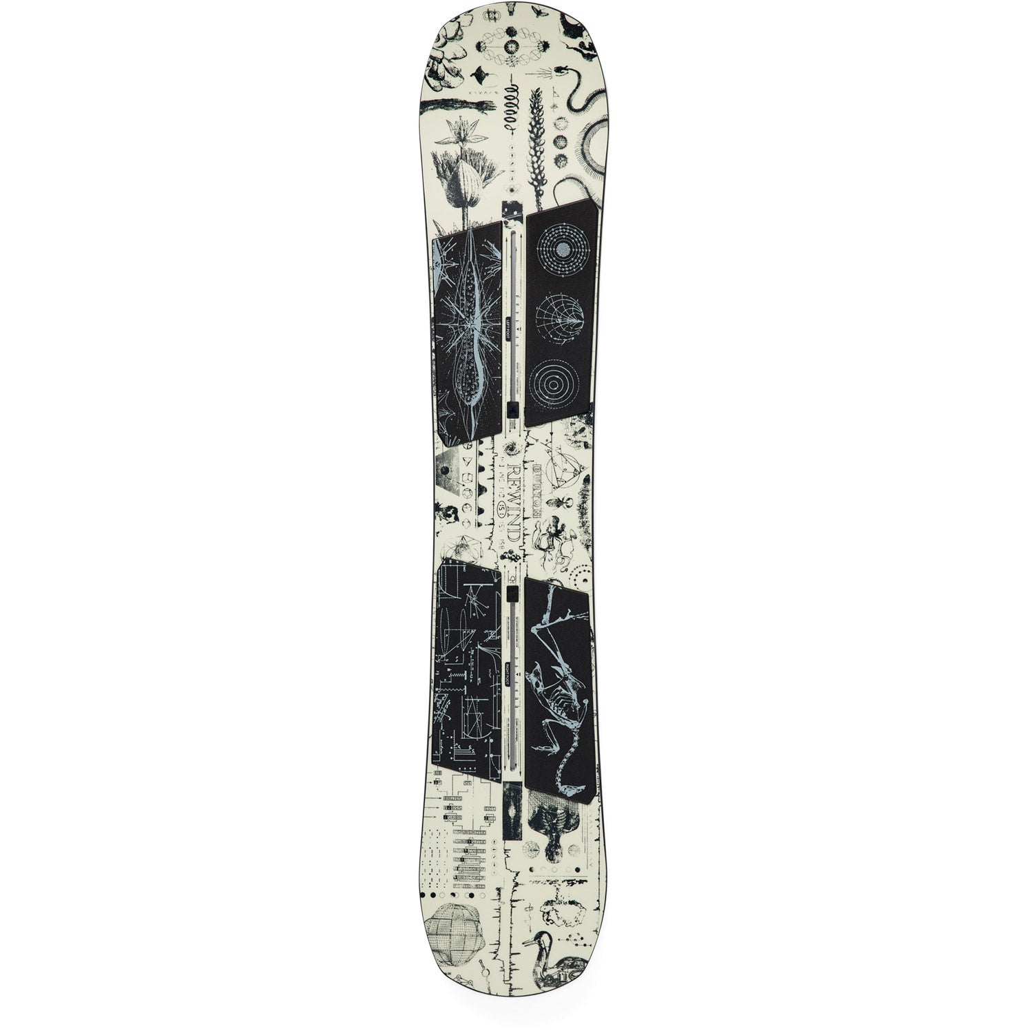 Rewind Zine Camber Snowboard