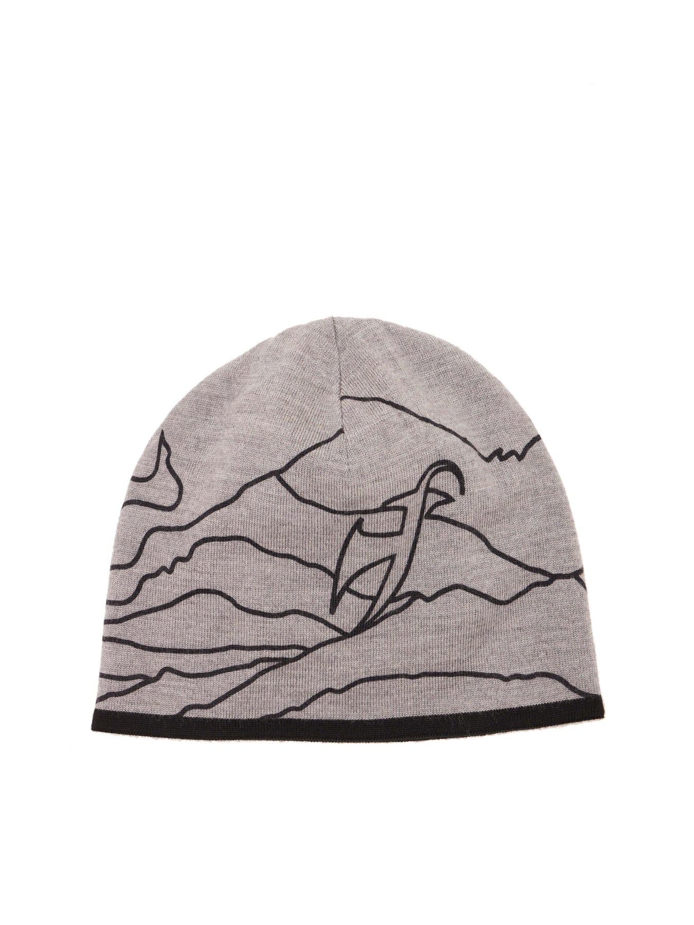Carl Beanie