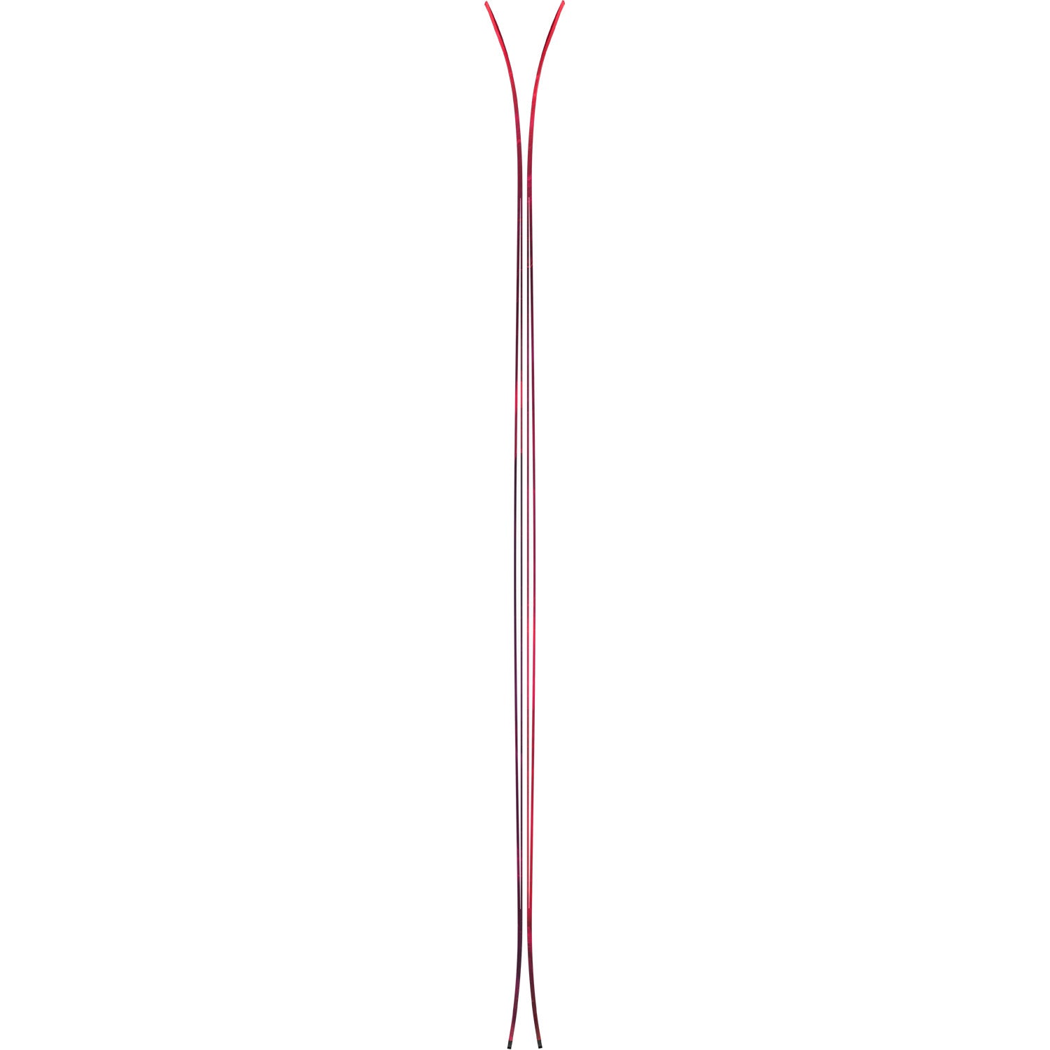 Maven 93 C Skis 2024
