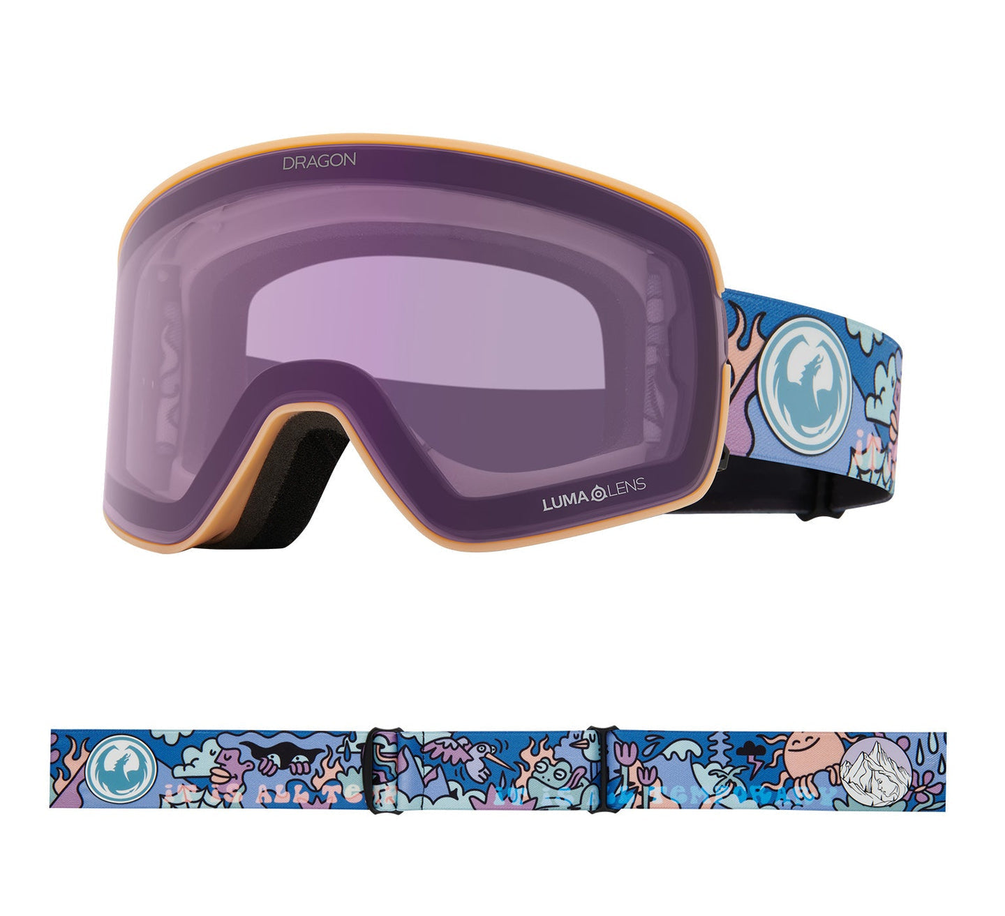 NFX2 LB Snow Goggle