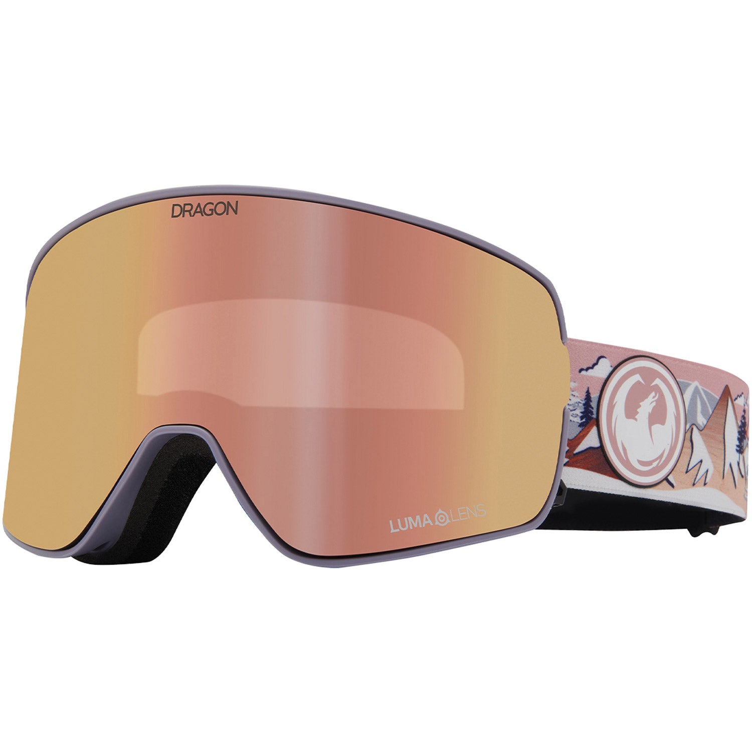NFX2 Low Bridge Snow Goggle