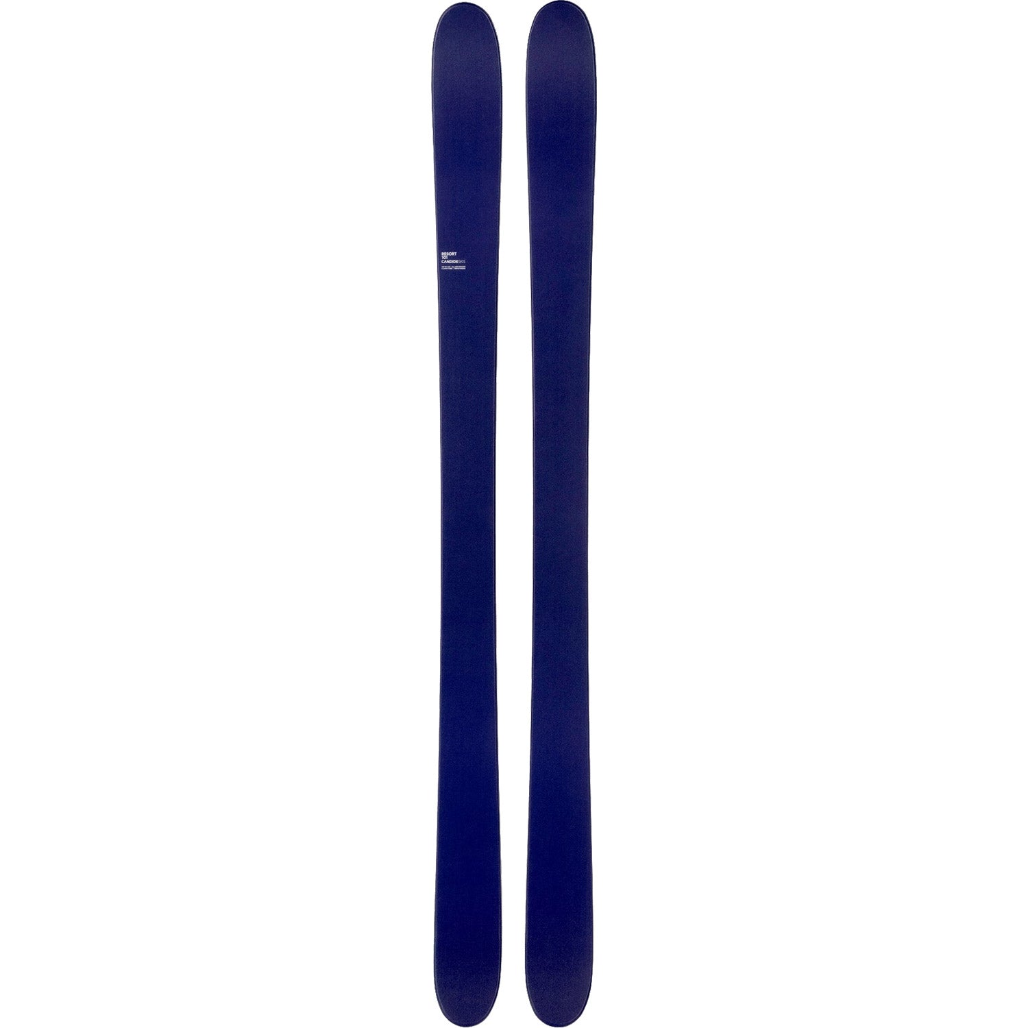 Resort 101 Skis 2026