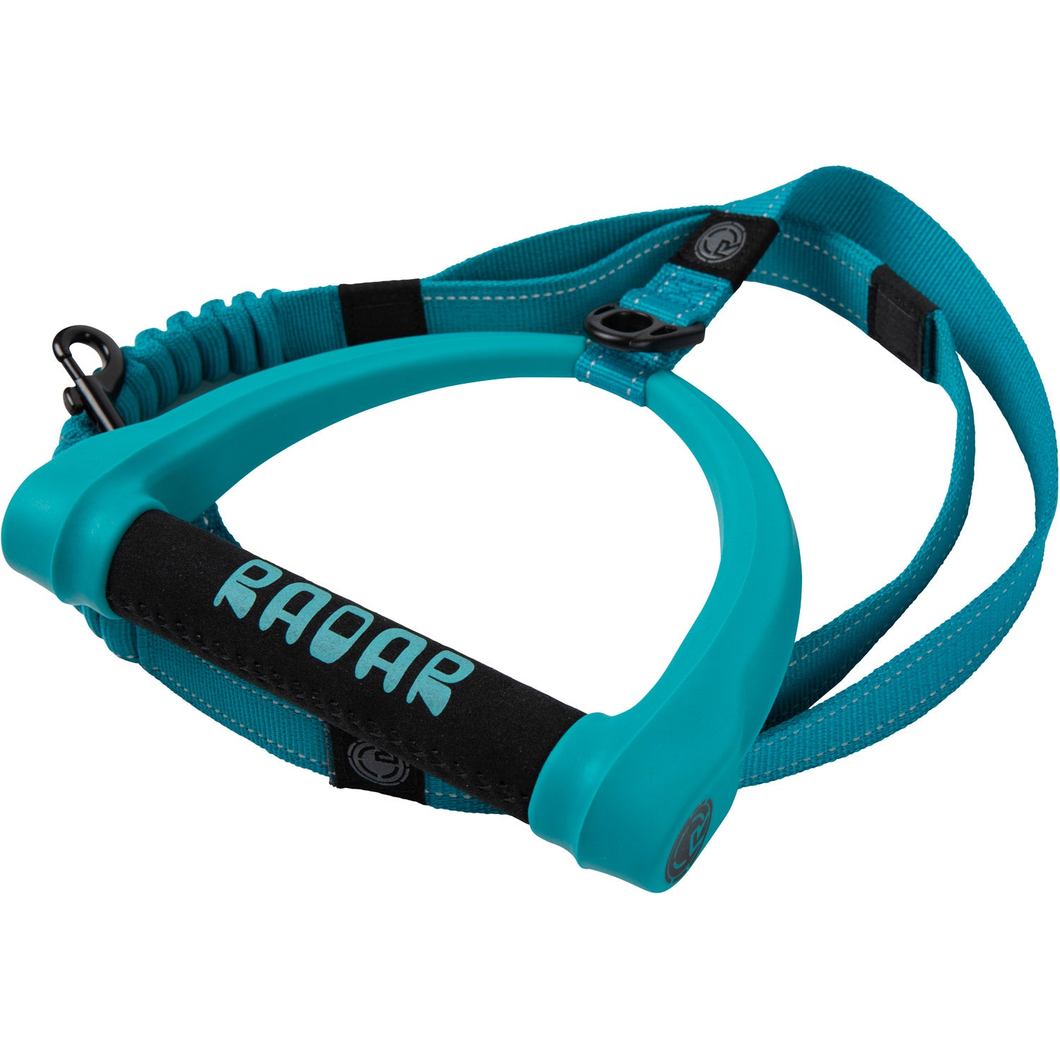 Dog Leash