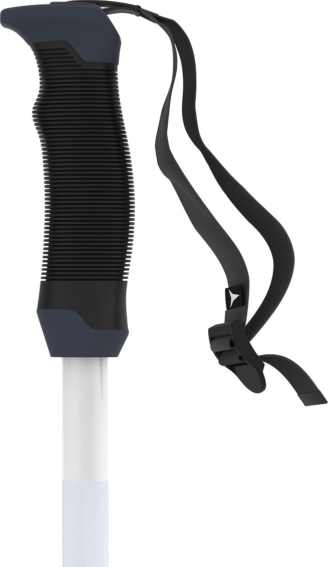 AMT SQS Womens Ski Pole