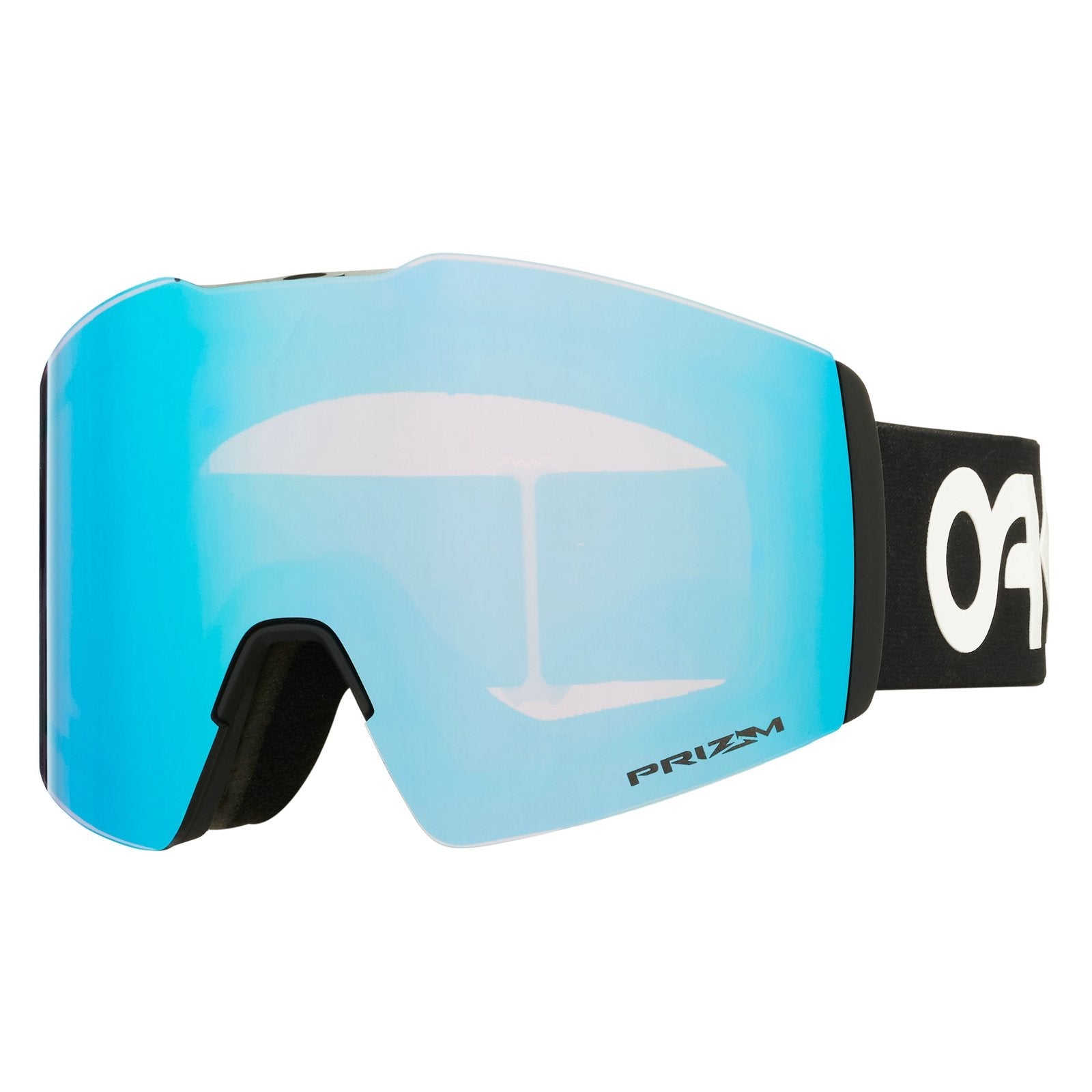 Fall Line L Snow Goggle