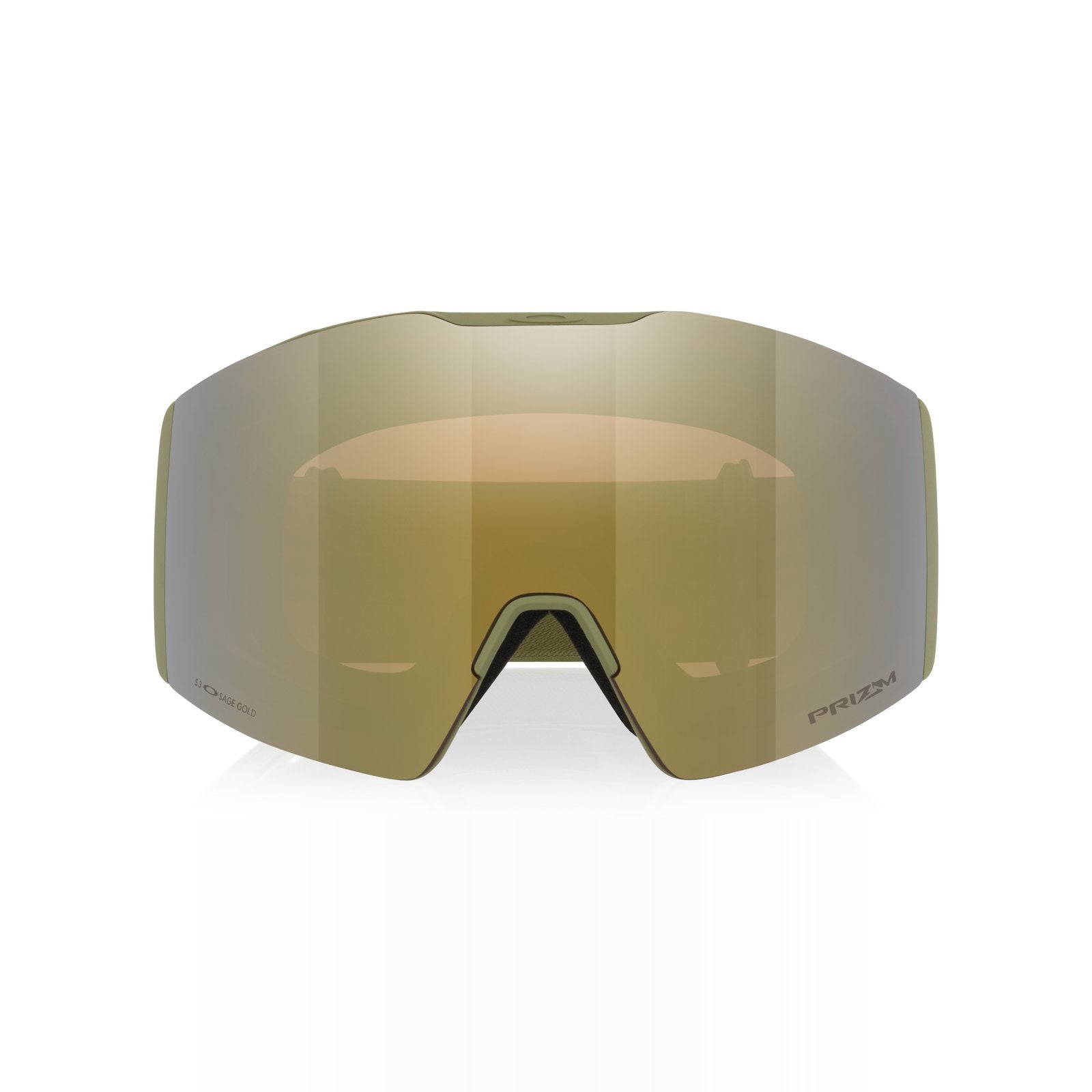 Fall Line L Snow Goggle