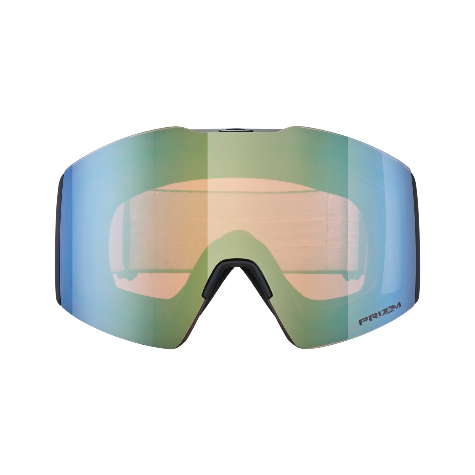 Fall Line L Snow Goggle