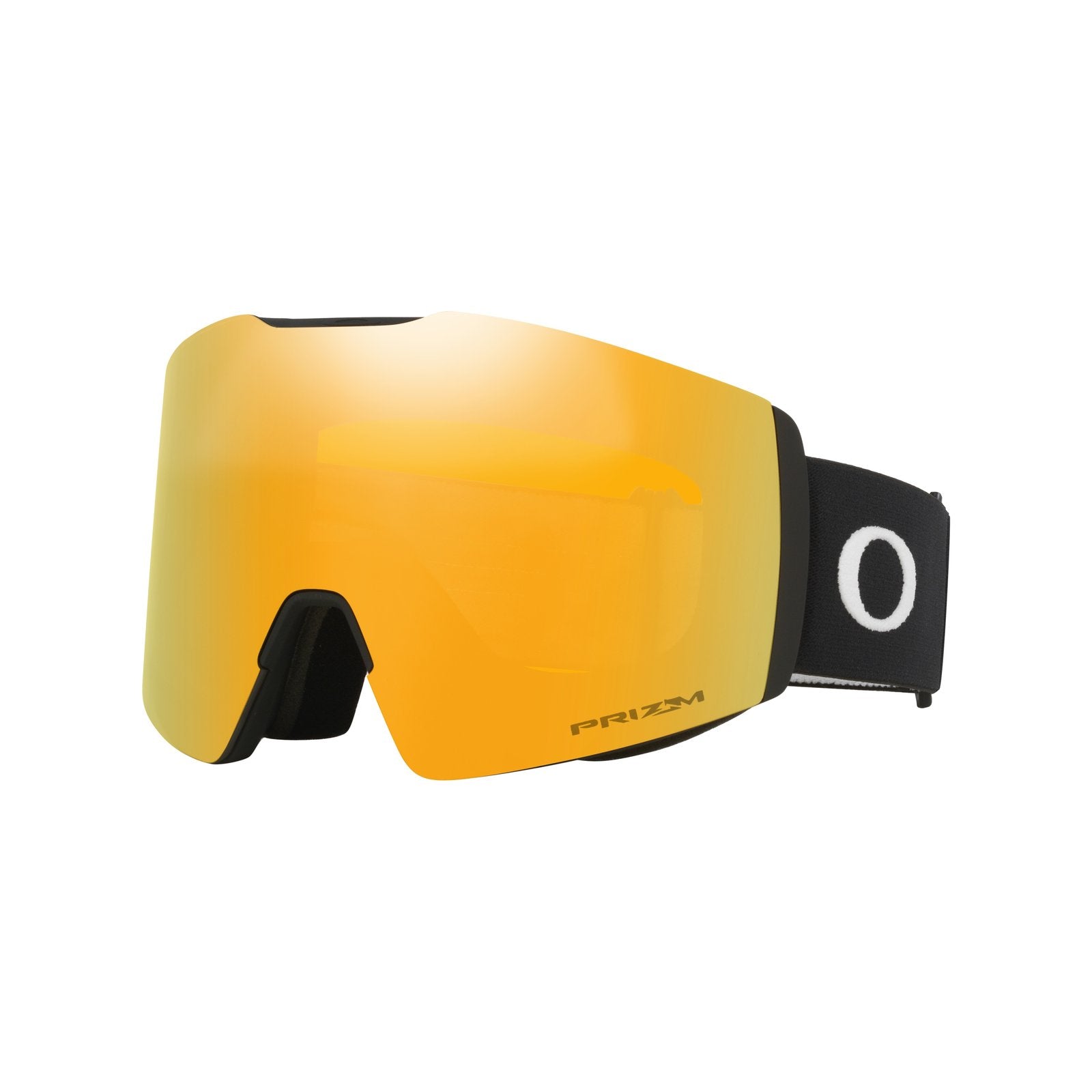 Fall Line L Snow Goggle