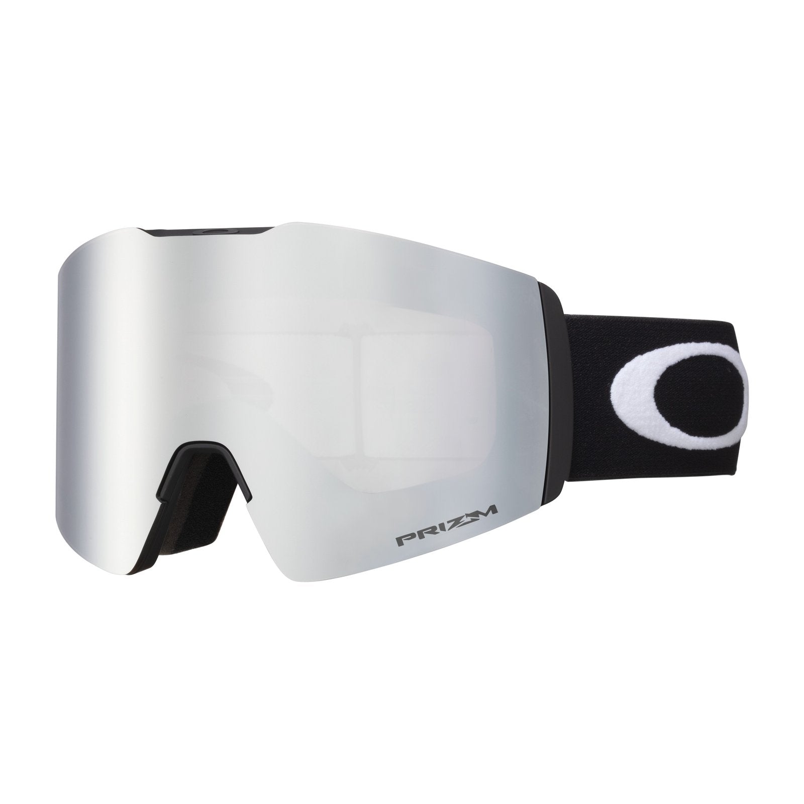 Fall Line L Snow Goggle