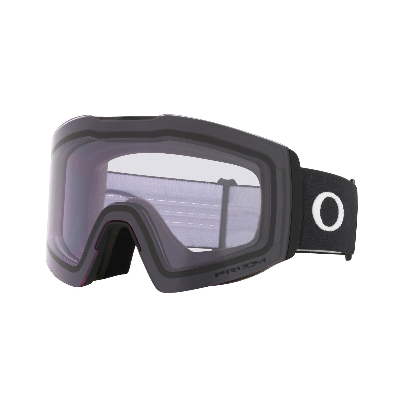 Fall Line L Snow Goggle